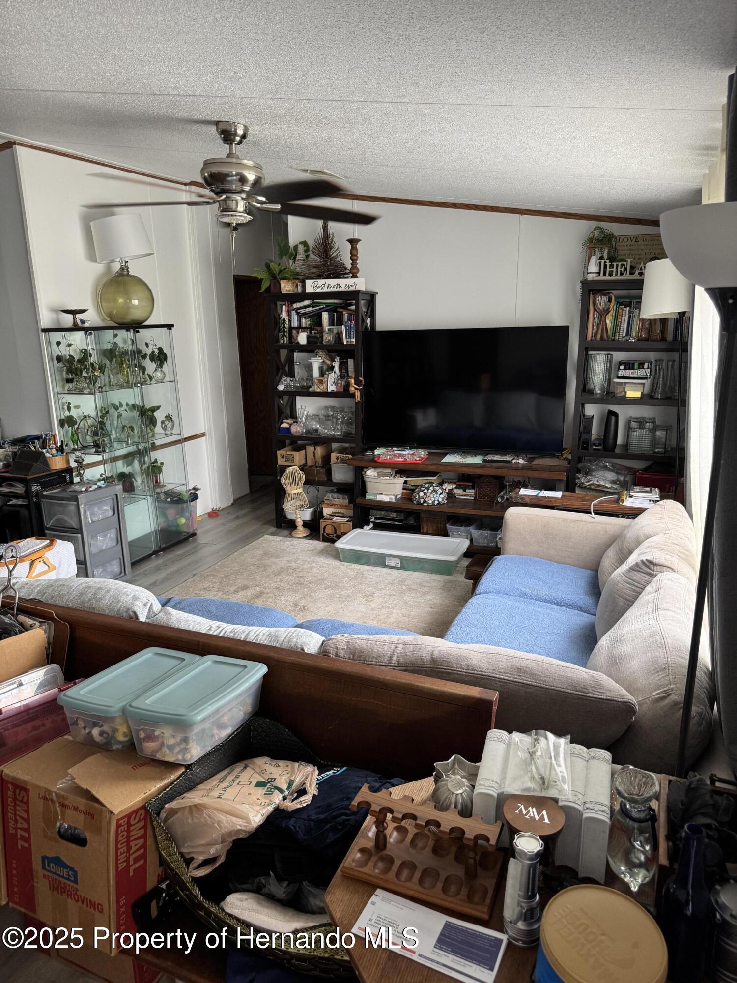 6490 Evanston Street, Weeki Wachee, Florida image 3