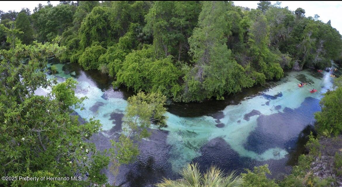 6490 Evanston Street, Weeki Wachee, Florida image 25