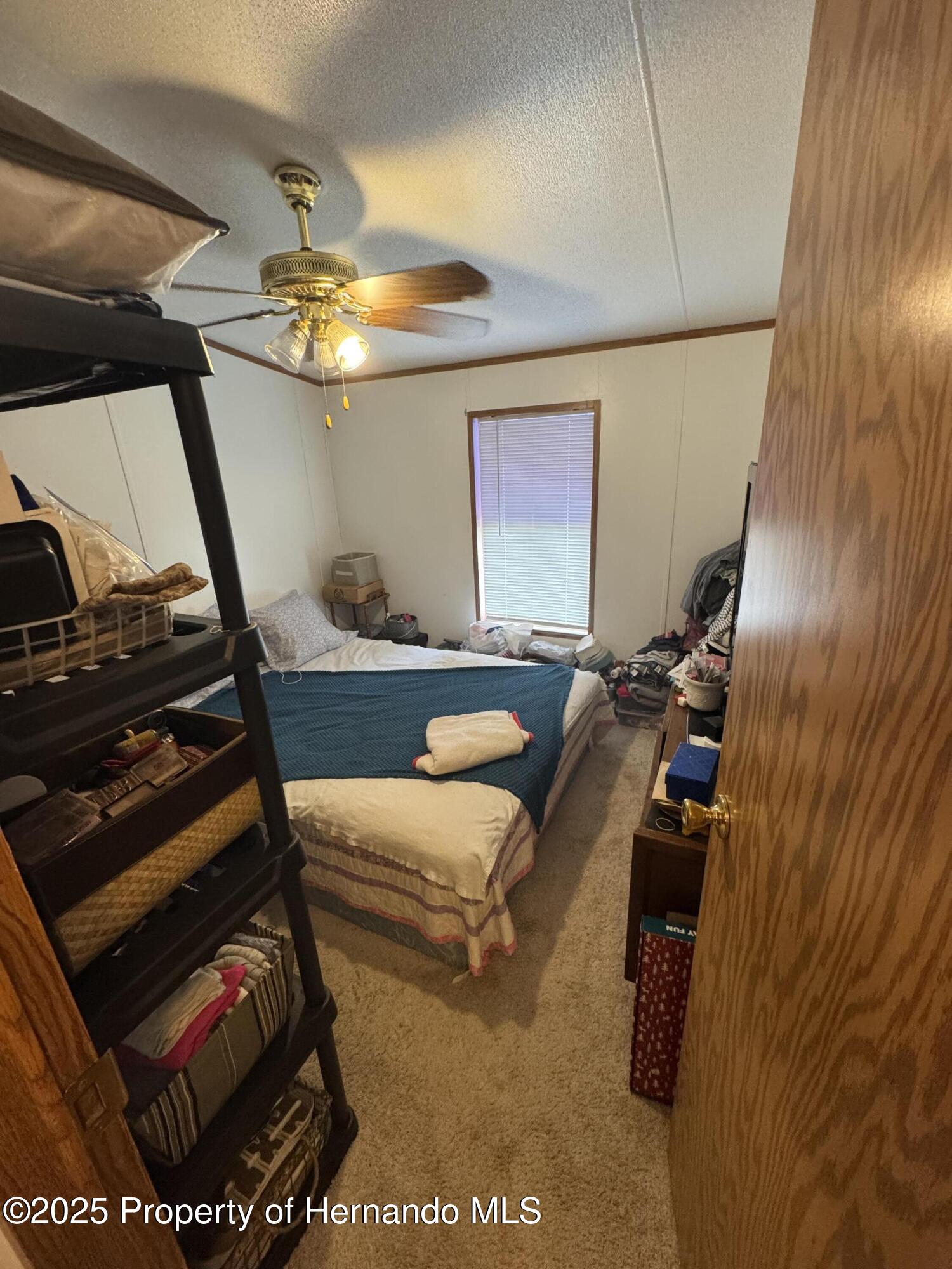 6490 Evanston Street, Weeki Wachee, Florida image 9