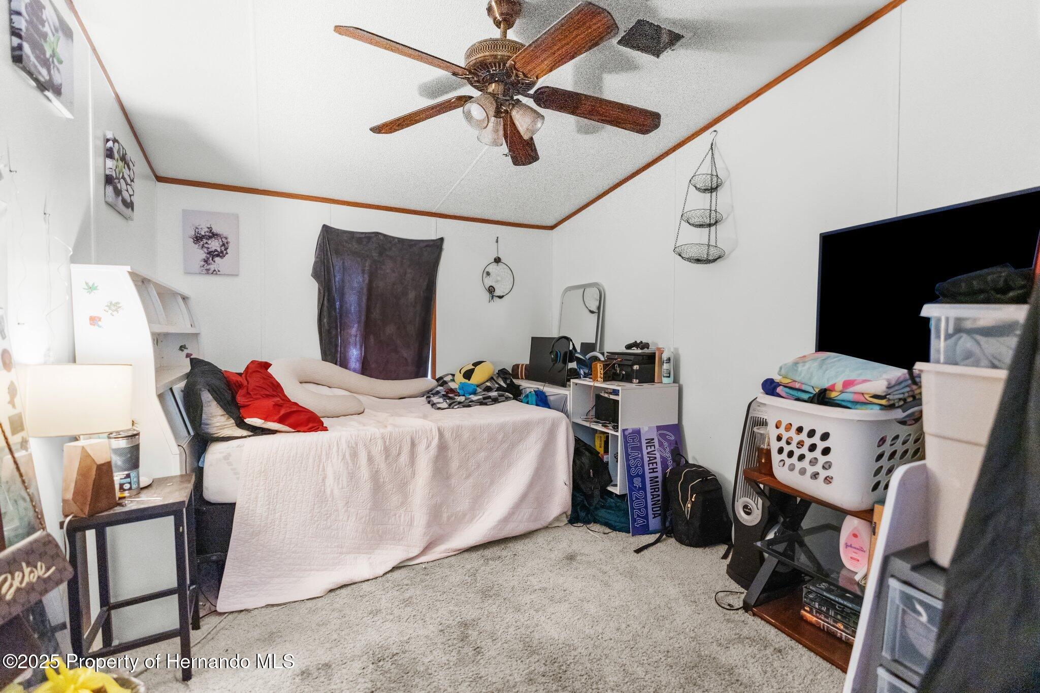 6490 Evanston Street, Weeki Wachee, Florida image 12