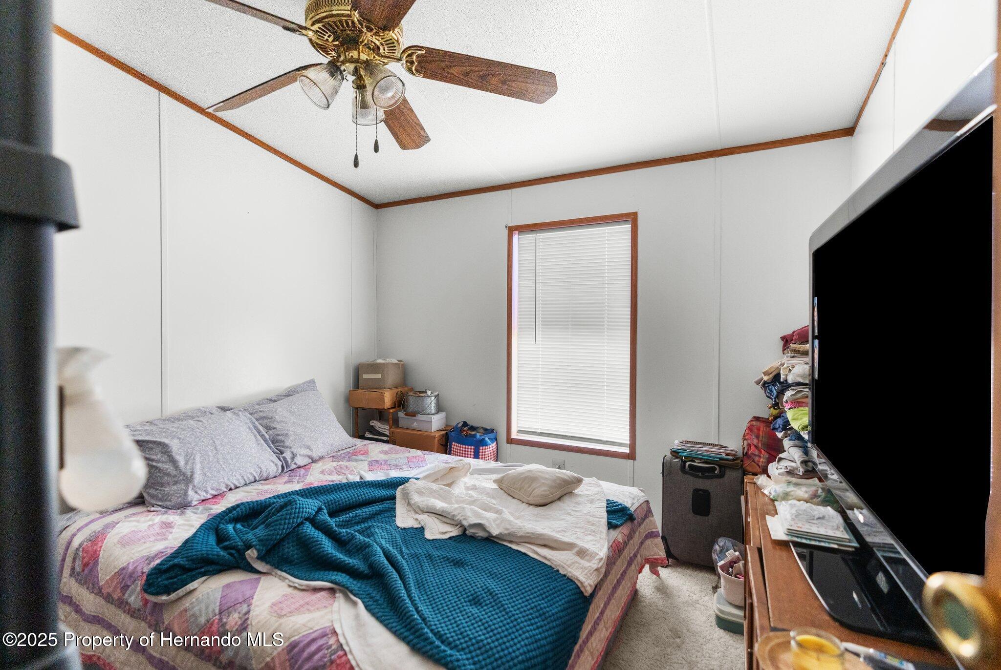 6490 Evanston Street, Weeki Wachee, Florida image 11