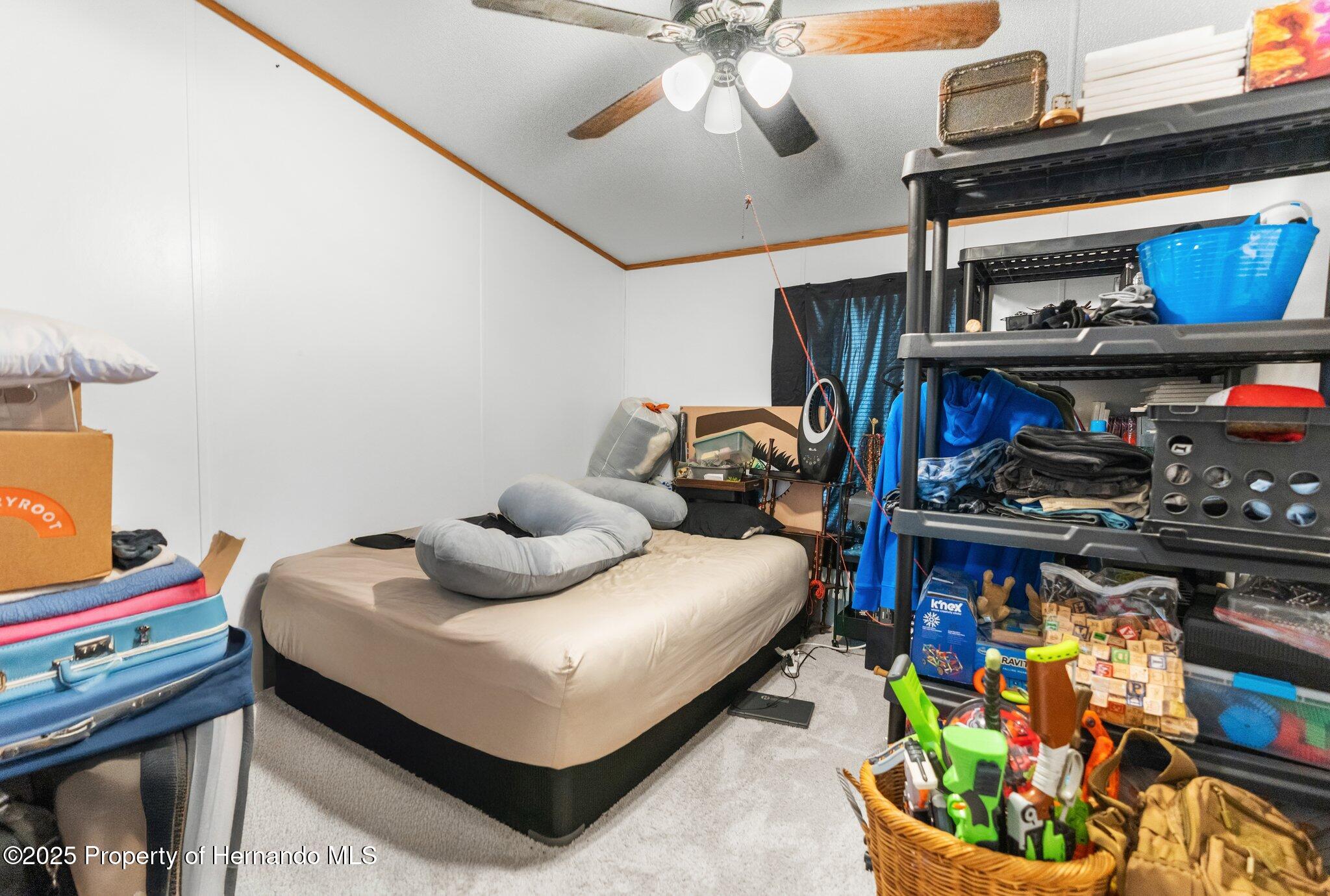 6490 Evanston Street, Weeki Wachee, Florida image 13