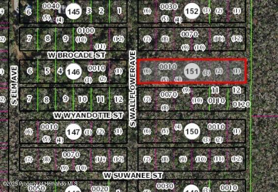 10006 W Brocade Street, Homosassa, Florida image 1