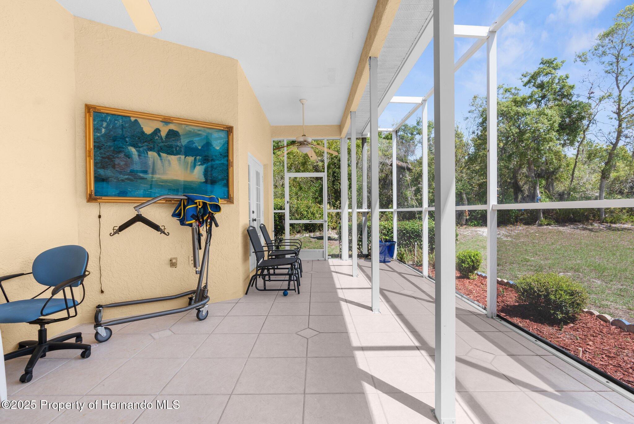 5202 Lydia Court, Spring Hill, Florida image 40