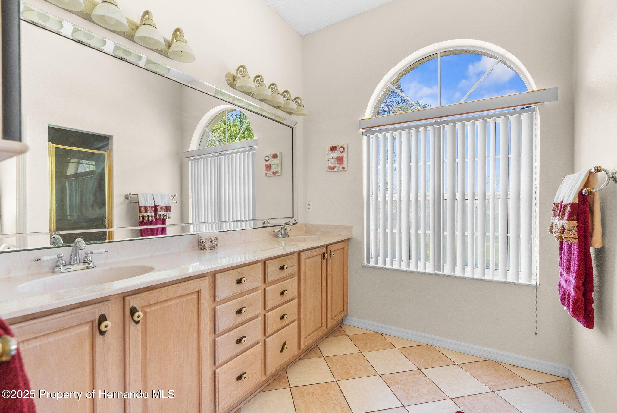 5202 Lydia Court, Spring Hill, Florida image 32