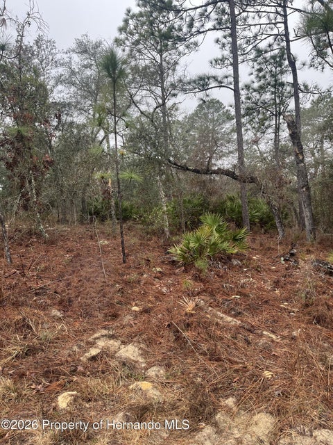 Vacant Land For Sale - 6692 N Airmont Drive<br/> Citrus Springs, FL 34433