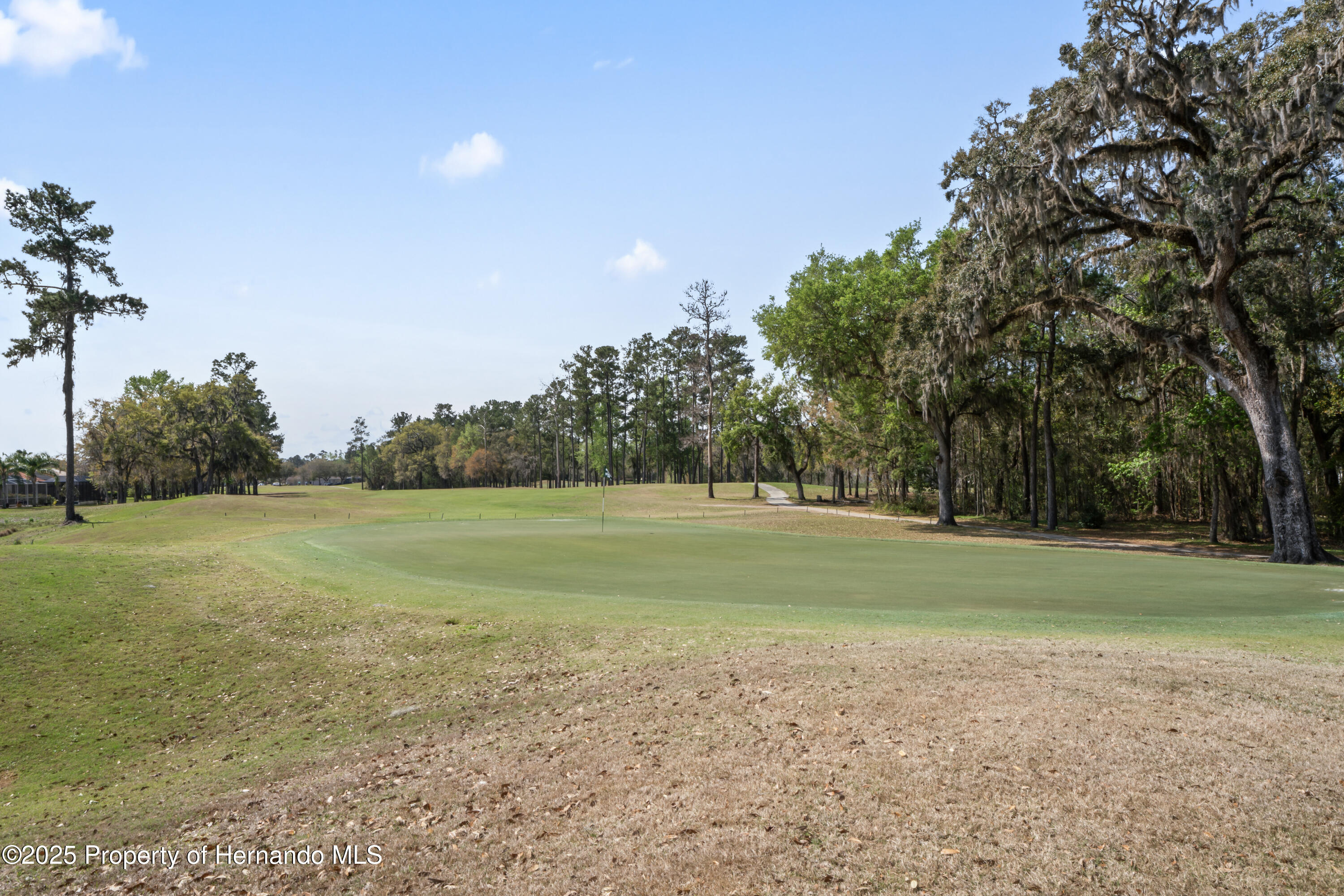 4431 Caliquen Drive, Brooksville, Florida image 47
