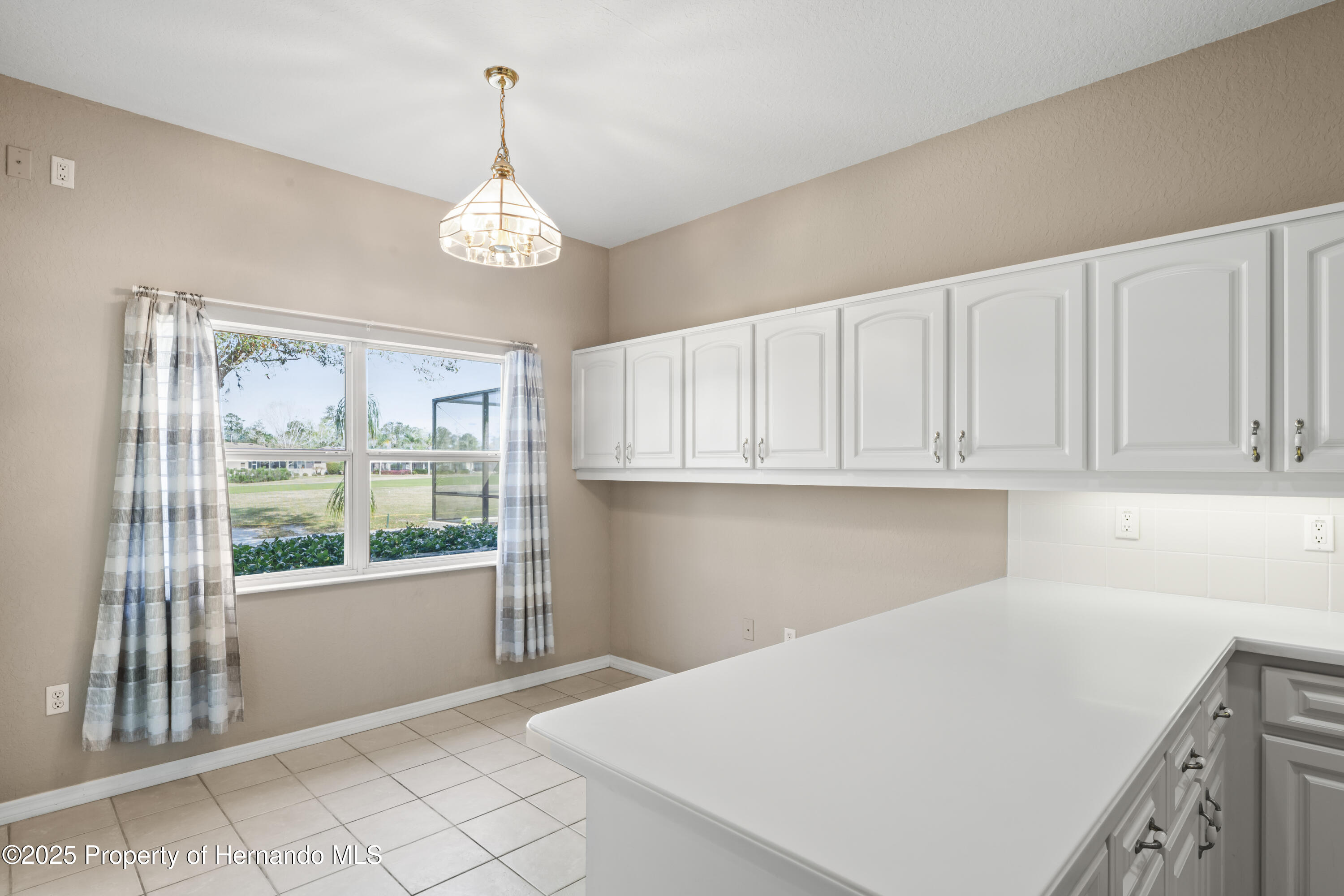 4431 Caliquen Drive, Brooksville, Florida image 21