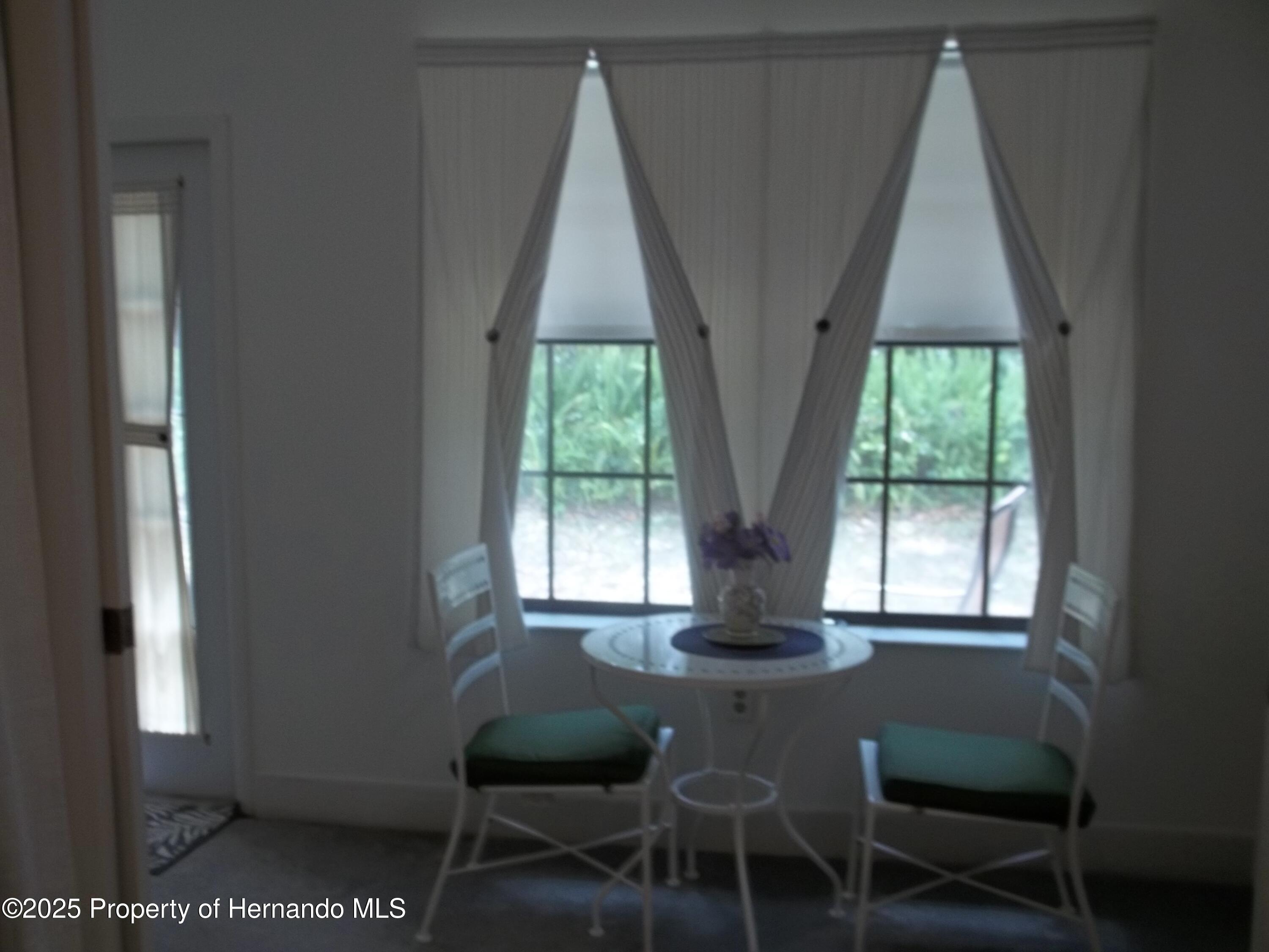 6364 Pinestand Court, Spring Hill, Florida image 6