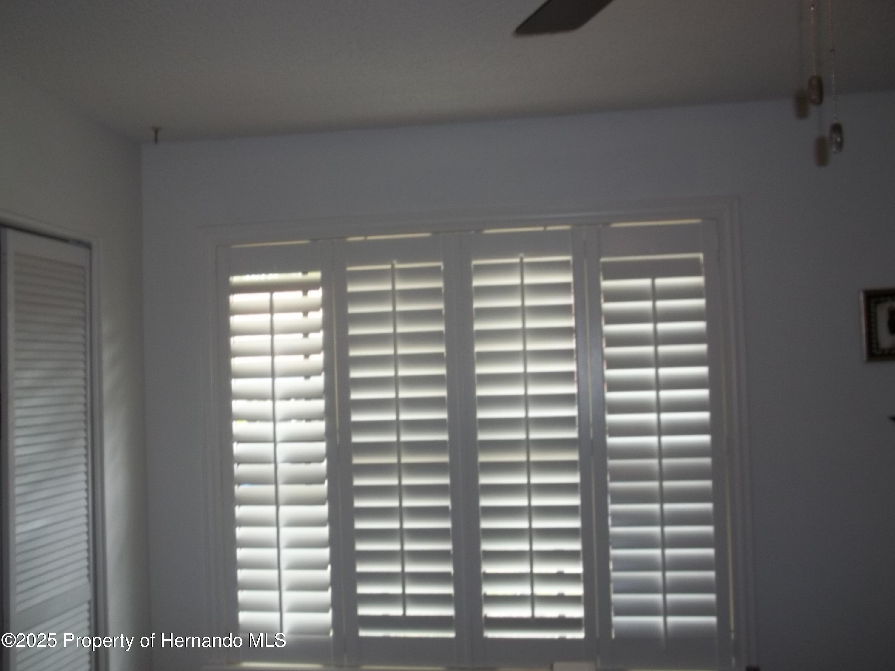 6364 Pinestand Court, Spring Hill, Florida image 12