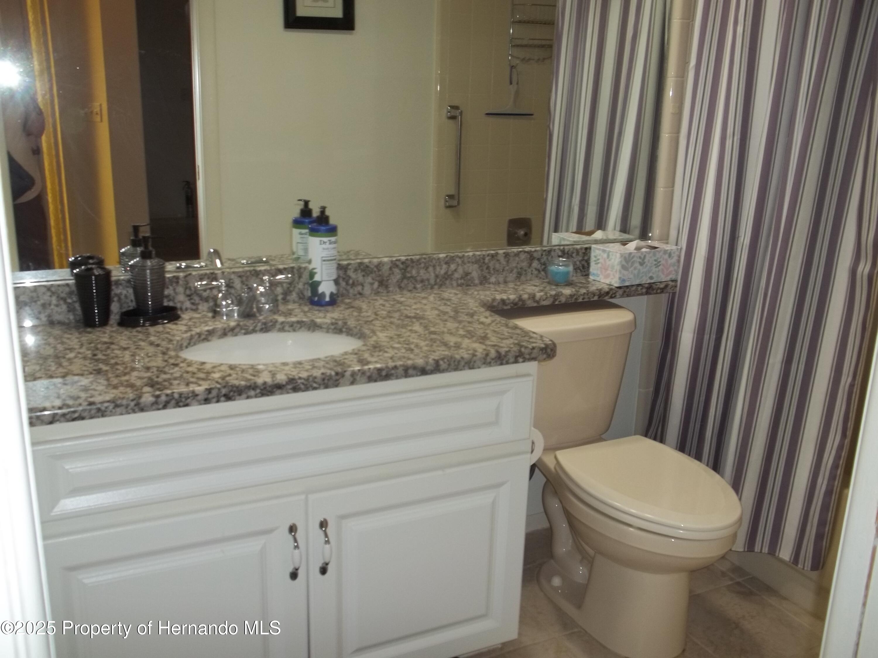 6364 Pinestand Court, Spring Hill, Florida image 13