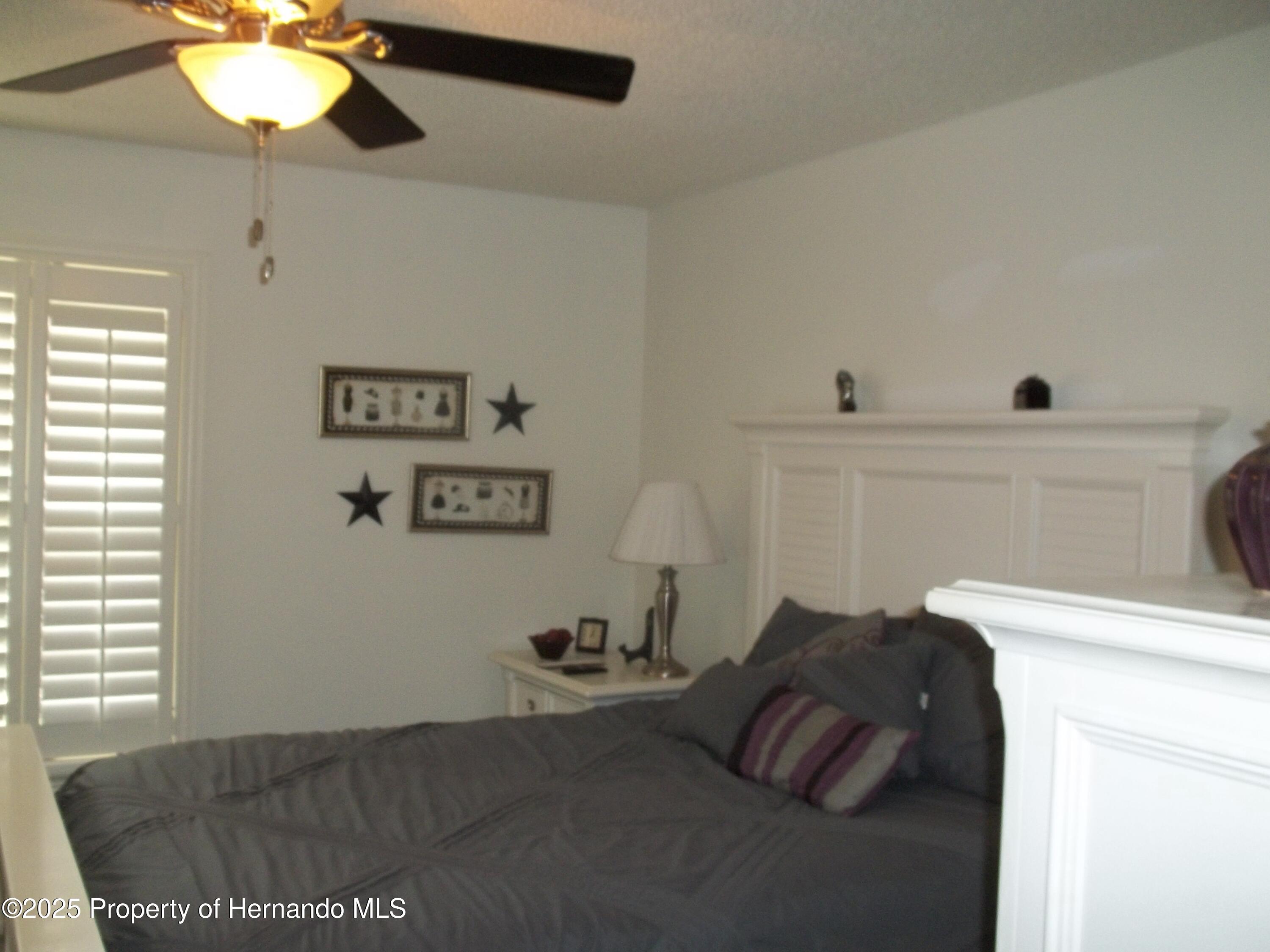 6364 Pinestand Court, Spring Hill, Florida image 10