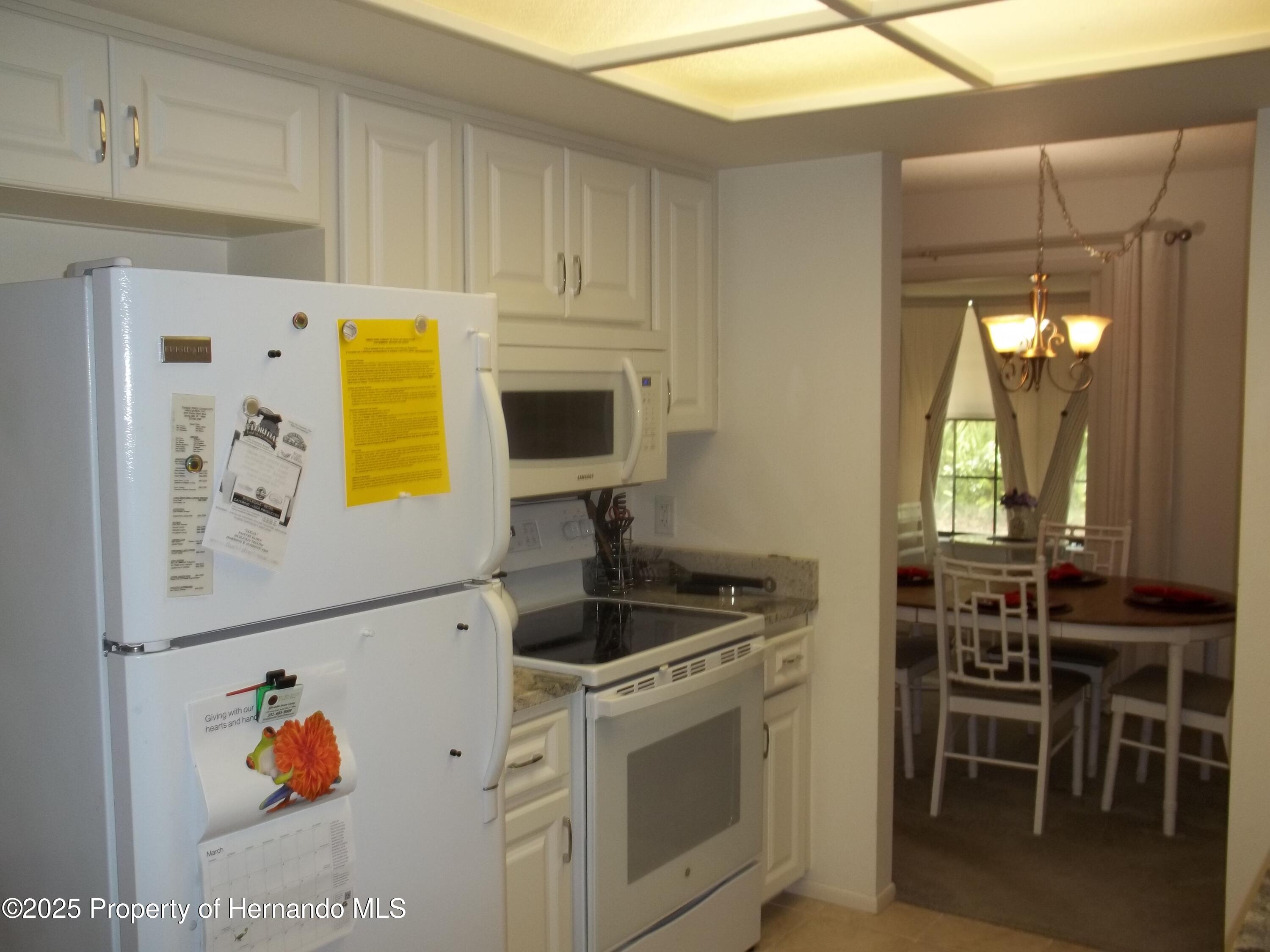 6364 Pinestand Court, Spring Hill, Florida image 9