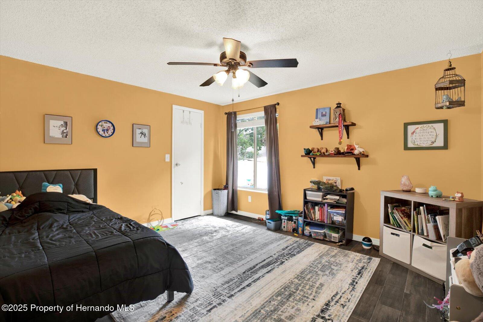 7420 Goldeneye Drive, New Port Richey, Florida image 15