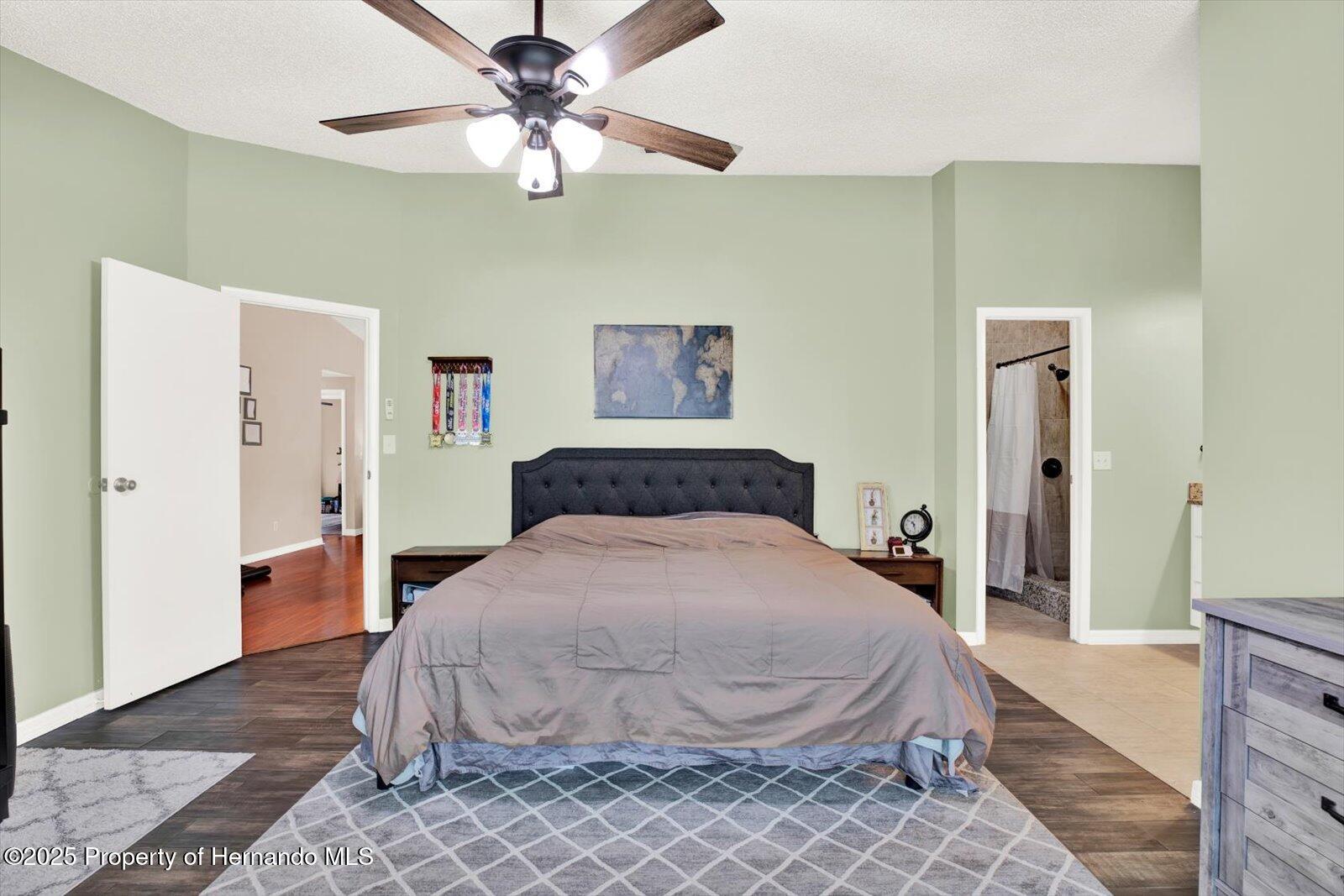 7420 Goldeneye Drive, New Port Richey, Florida image 11