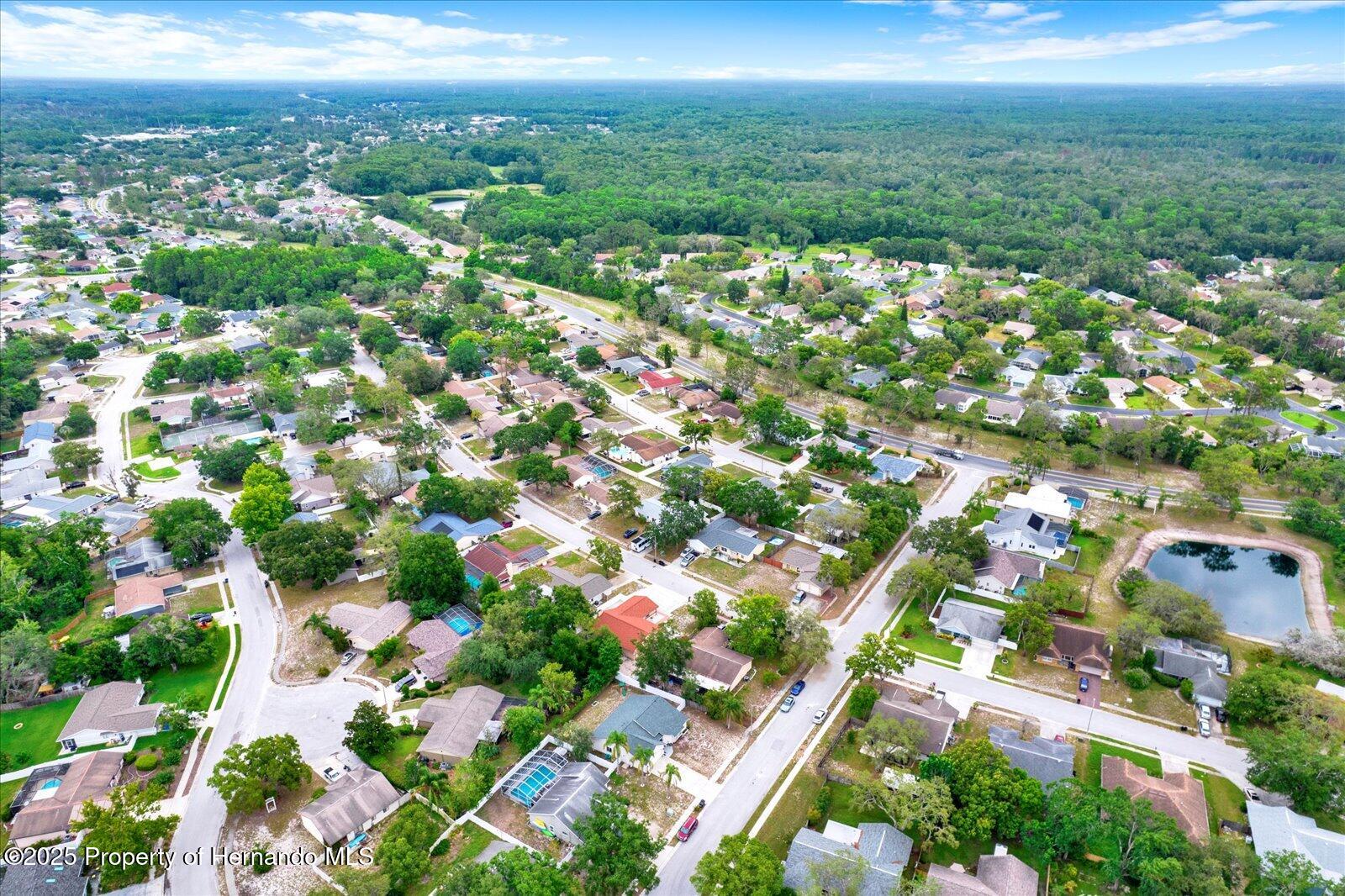 7420 Goldeneye Drive, New Port Richey, Florida image 19