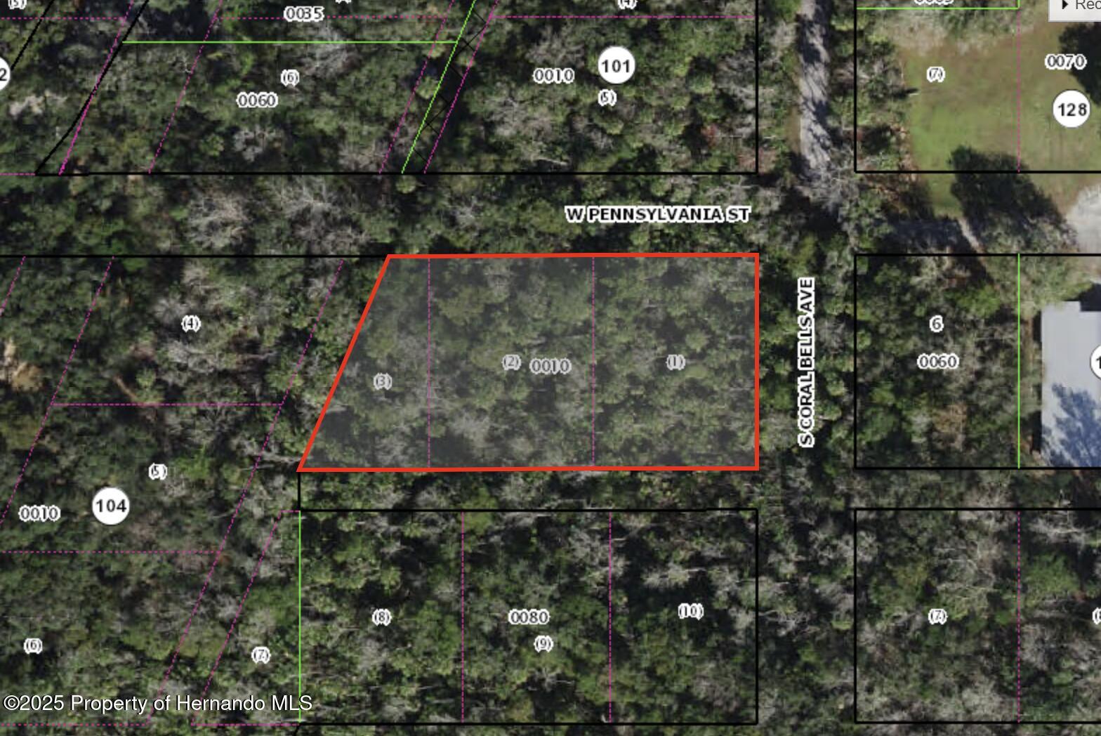 10388 W Pennsylvania Street, Homosassa, Florida image 1