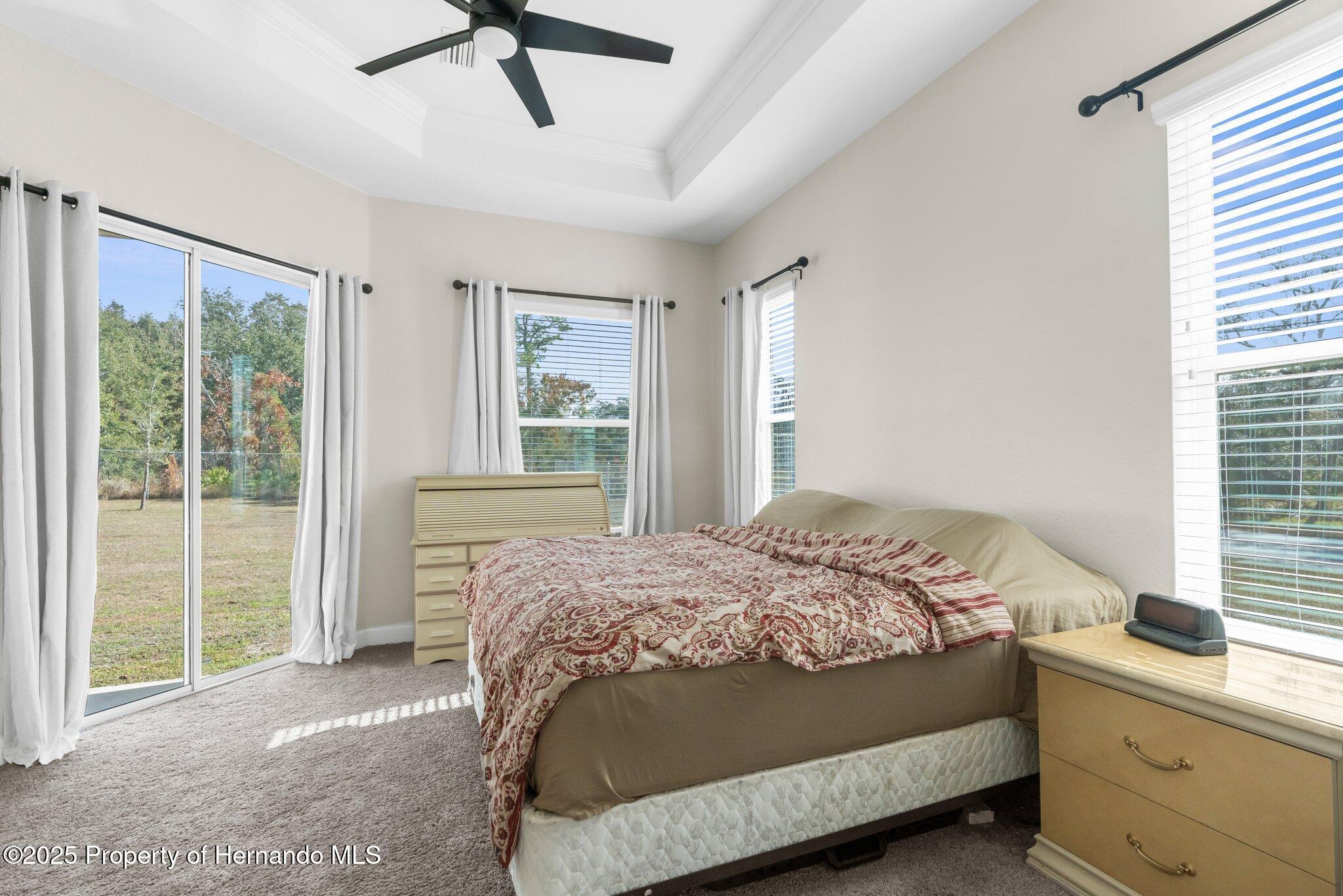 13254 Kitty Road, Weeki Wachee, Florida image 21