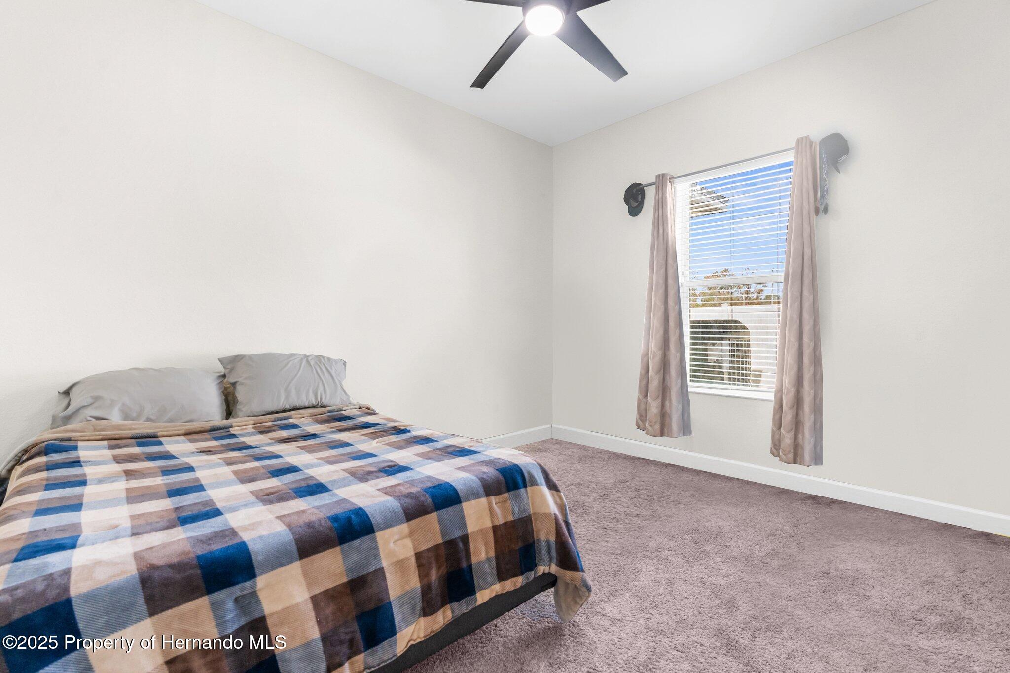 13254 Kitty Road, Weeki Wachee, Florida image 28