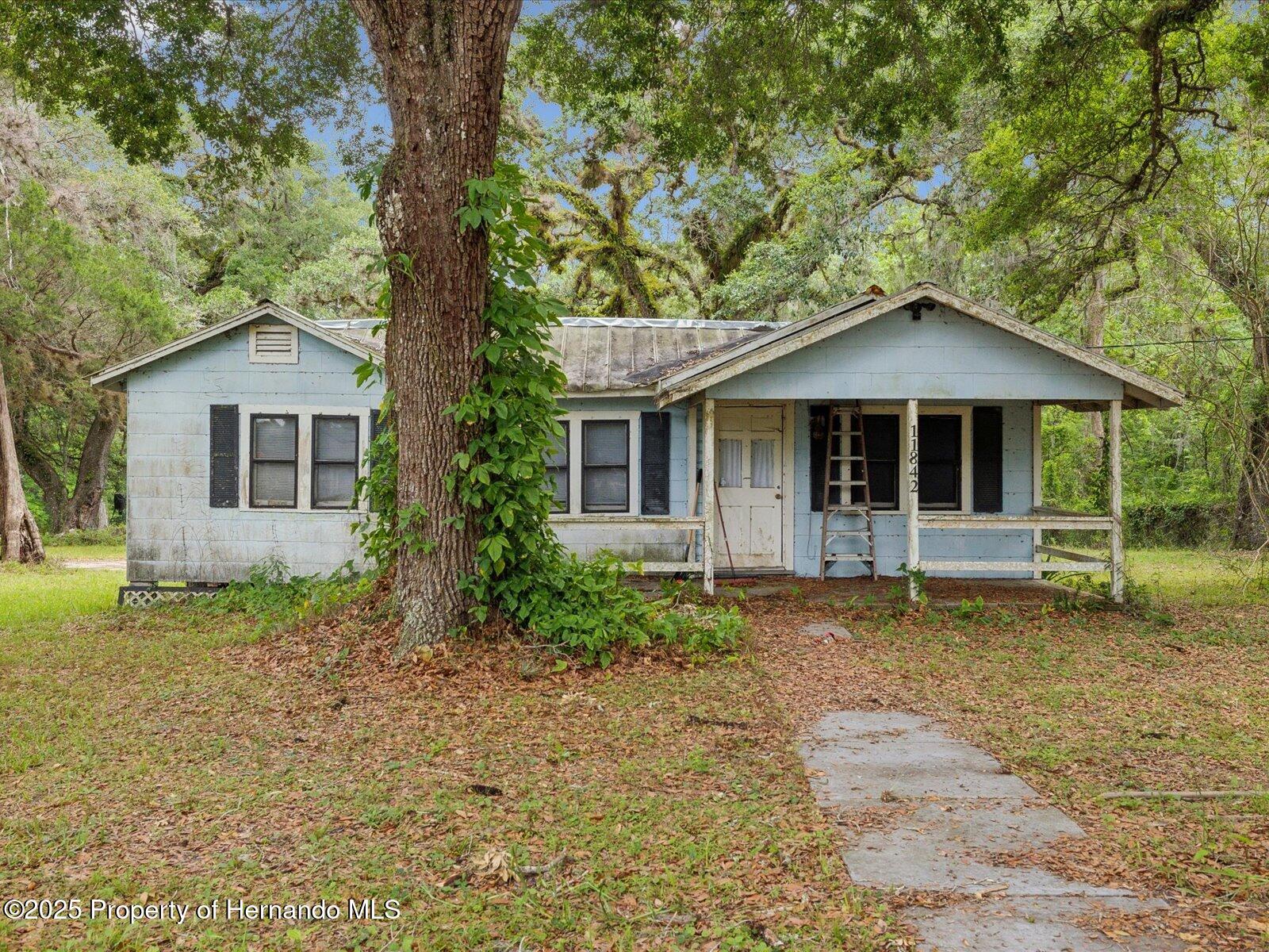 11842 N Broad Street, Brooksville, Florida image 6