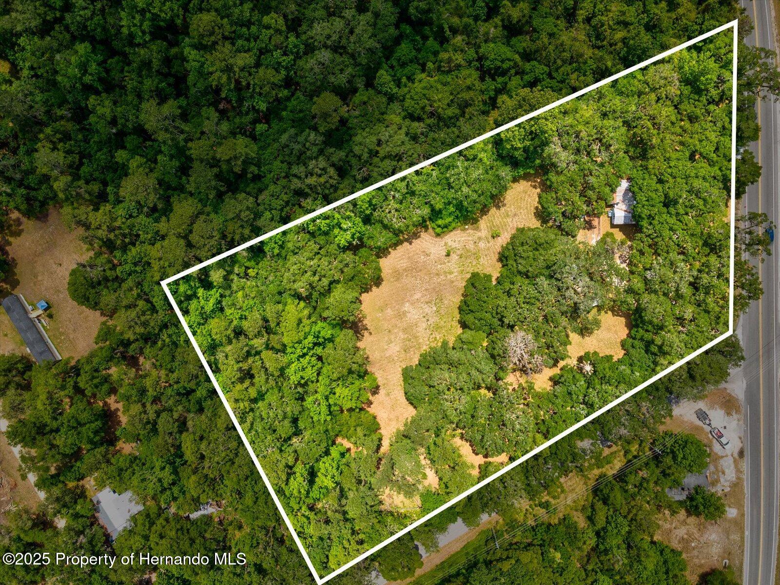 11842 N Broad Street, Brooksville, Florida image 2