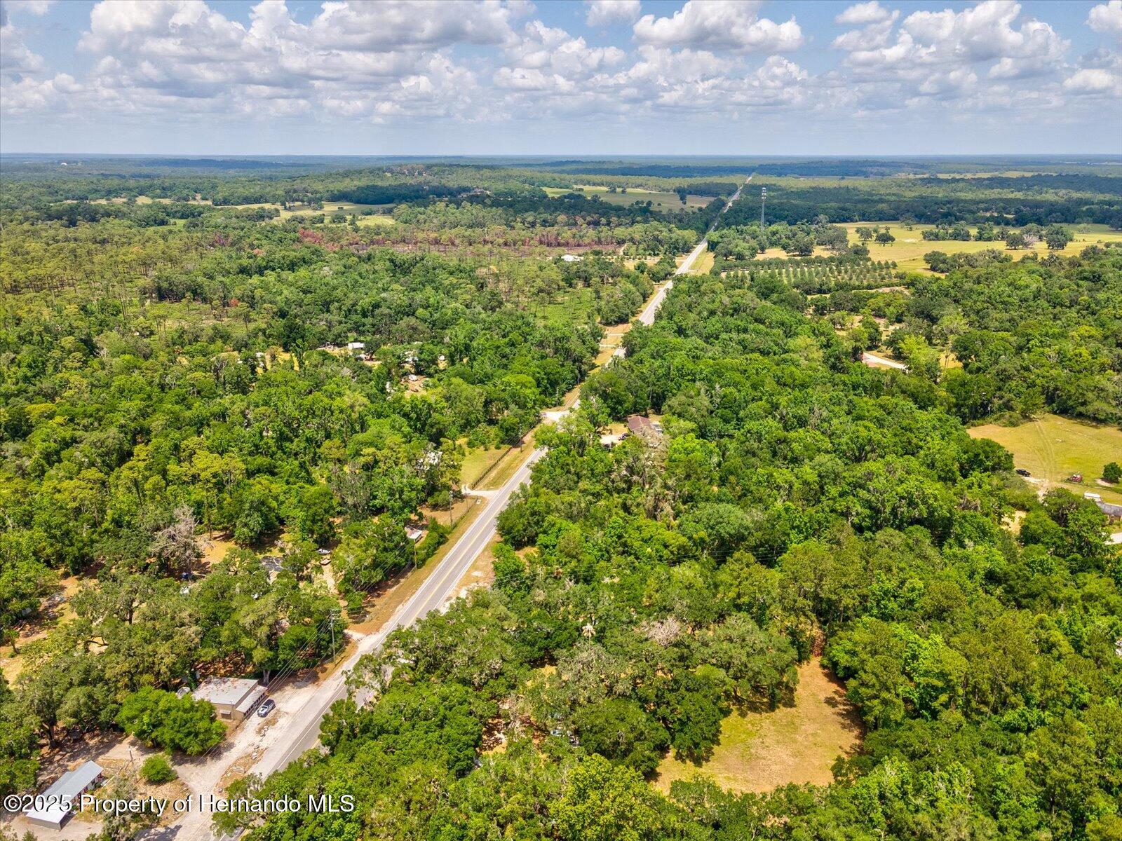 11842 N Broad Street, Brooksville, Florida image 15