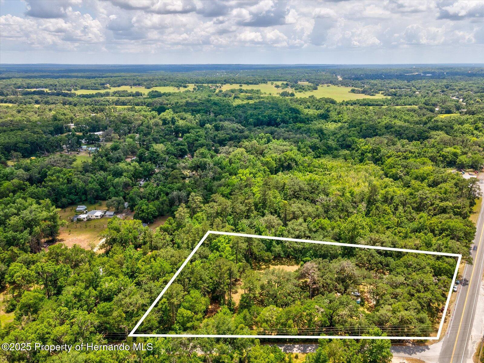 11842 N Broad Street, Brooksville, Florida image 19