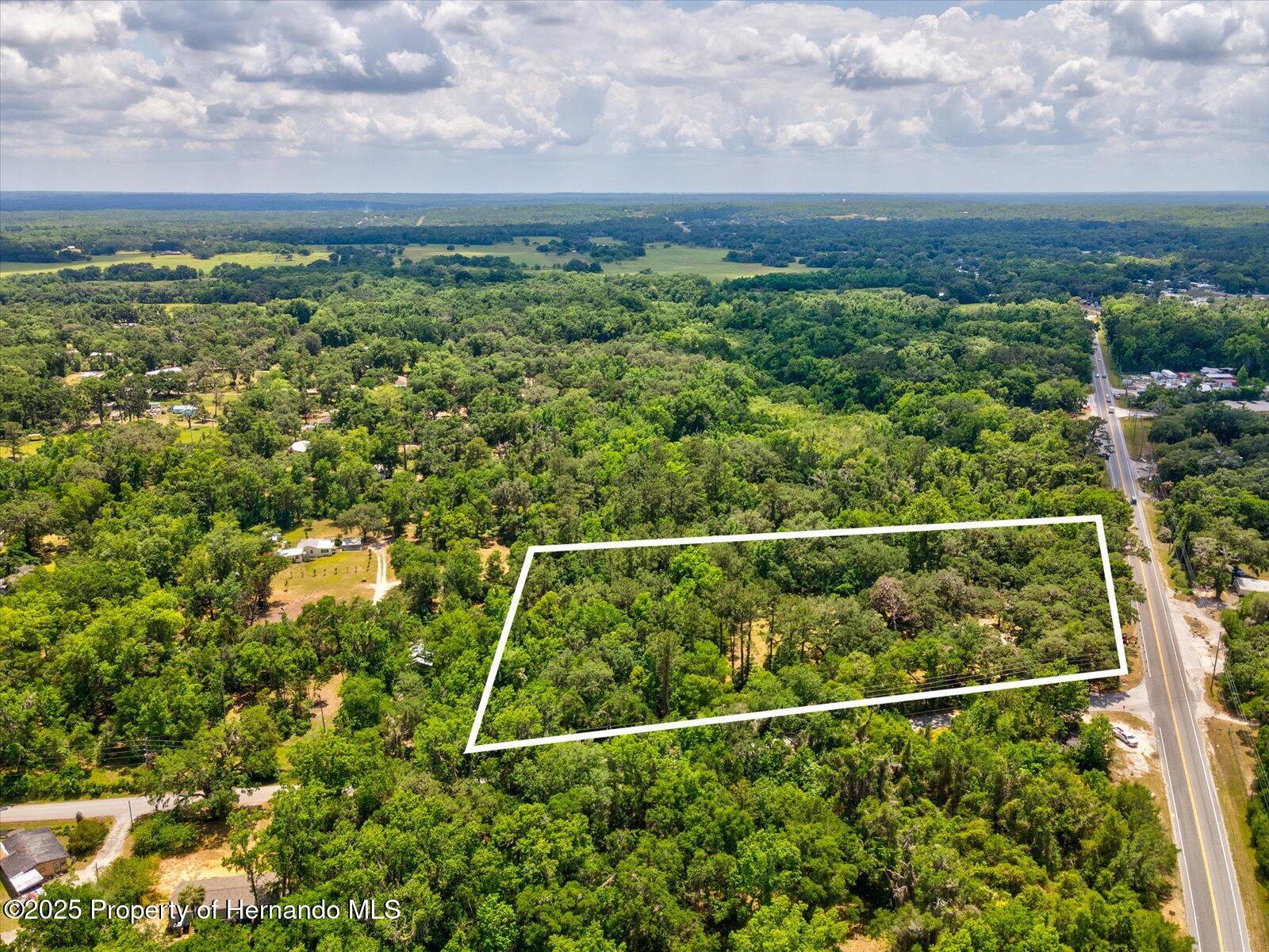 11842 N Broad Street, Brooksville, Florida image 3