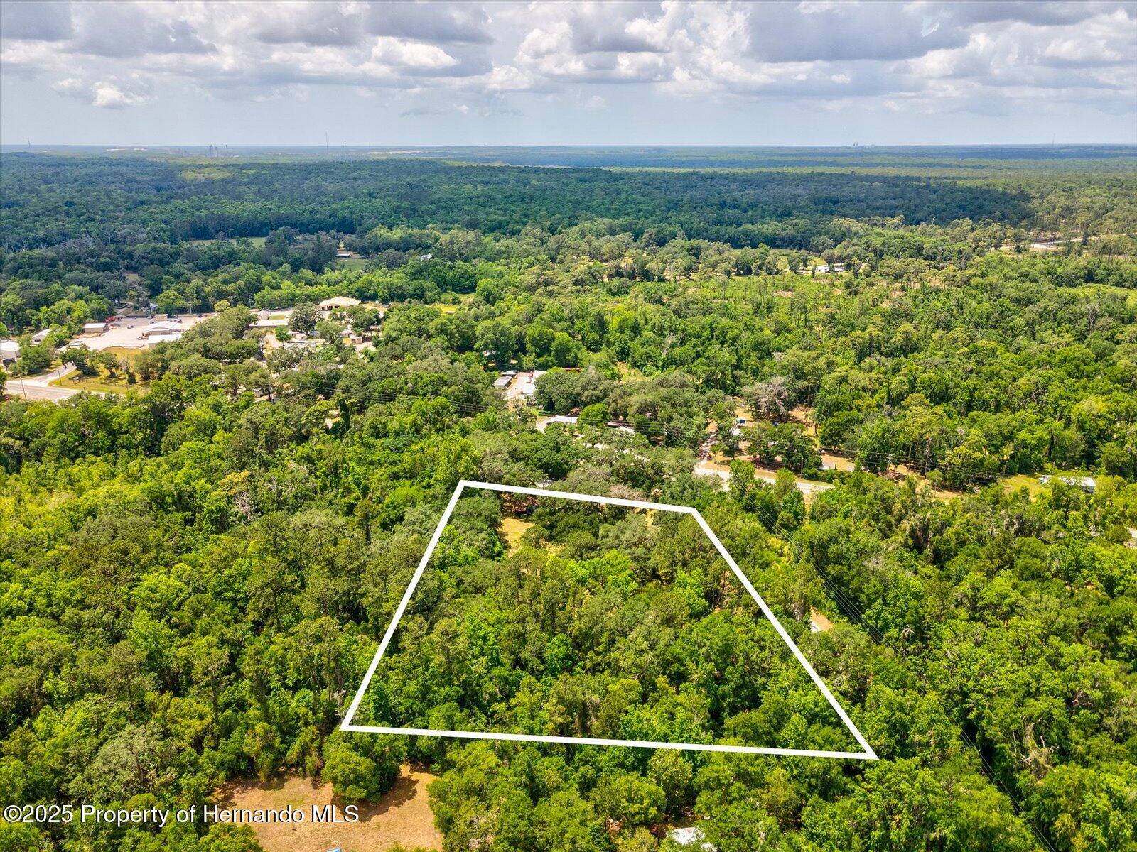 11842 N Broad Street, Brooksville, Florida image 13