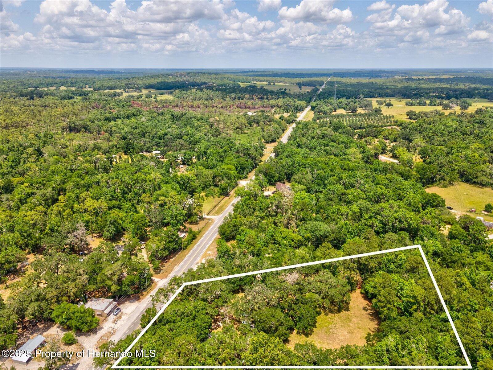 11842 N Broad Street, Brooksville, Florida image 14