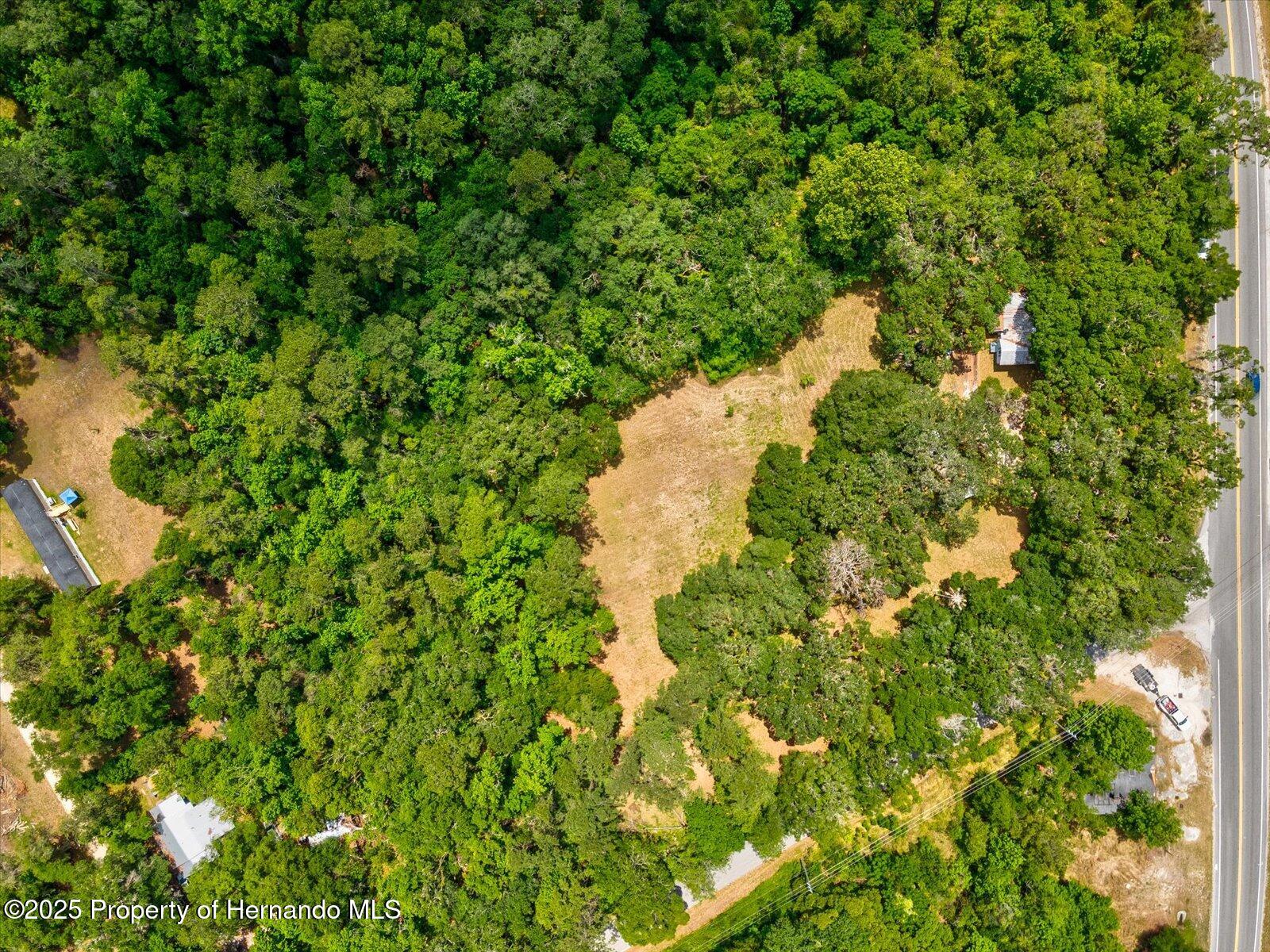 11842 N Broad Street, Brooksville, Florida image 20
