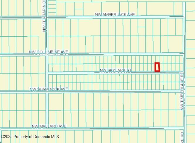 461326 Nw Skylark Street, Dunnellon, Florida image 2
