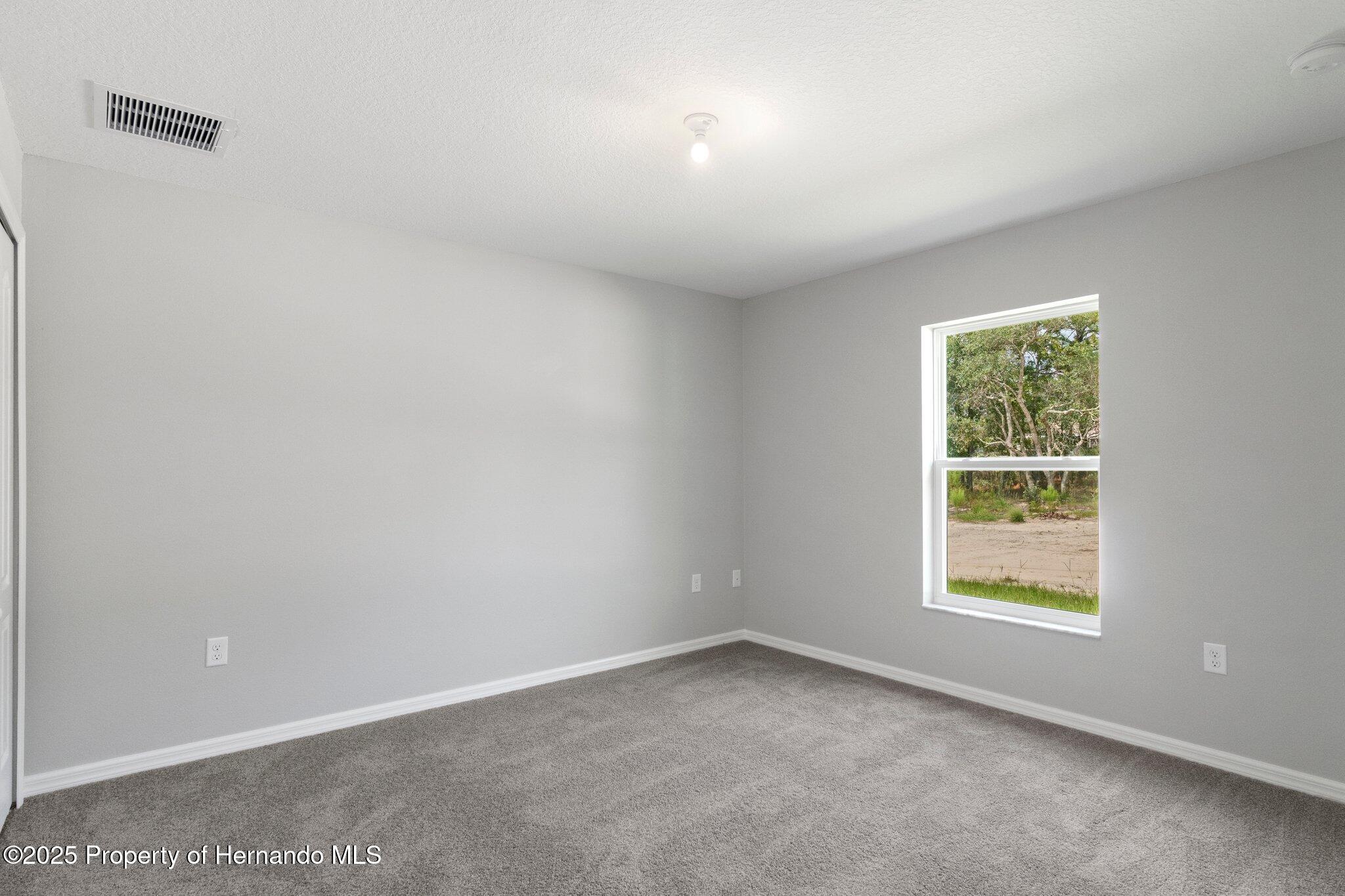13066 Nusser Avenue, Weeki Wachee, Florida image 32