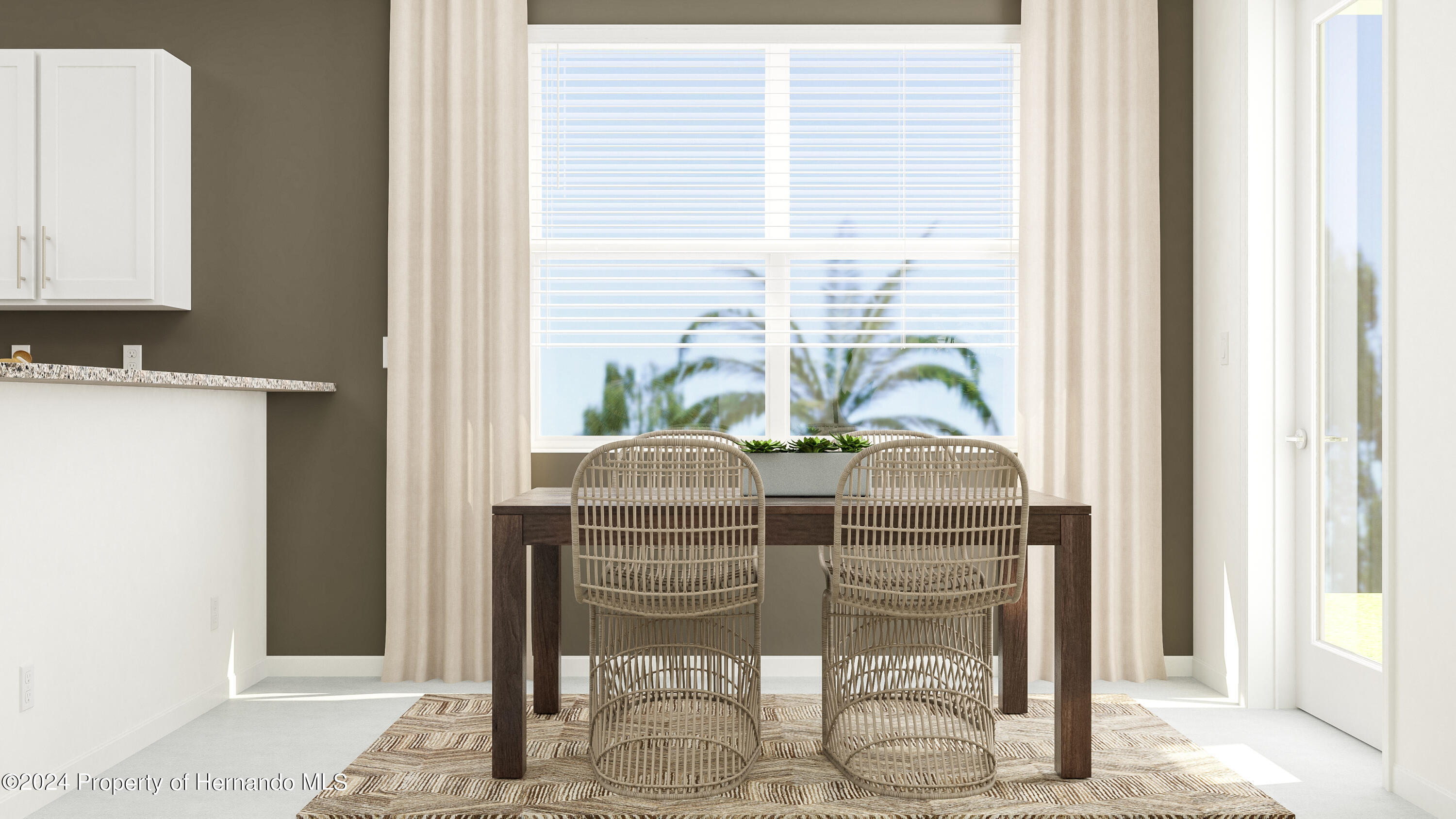 17504 Nectar Flume Drive, LAND O LAKES, Florida image 4