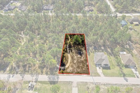 Vacant Land For Sale - 12348 Snowy Egret Avenue<br/> Spring Hill, FL 34606