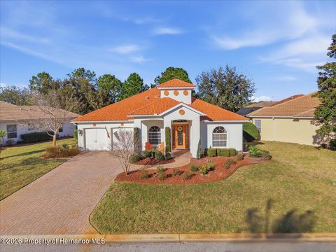 Homes For Sale - 9020 Jericho Road<br/> Weeki Wachee, FL 34613