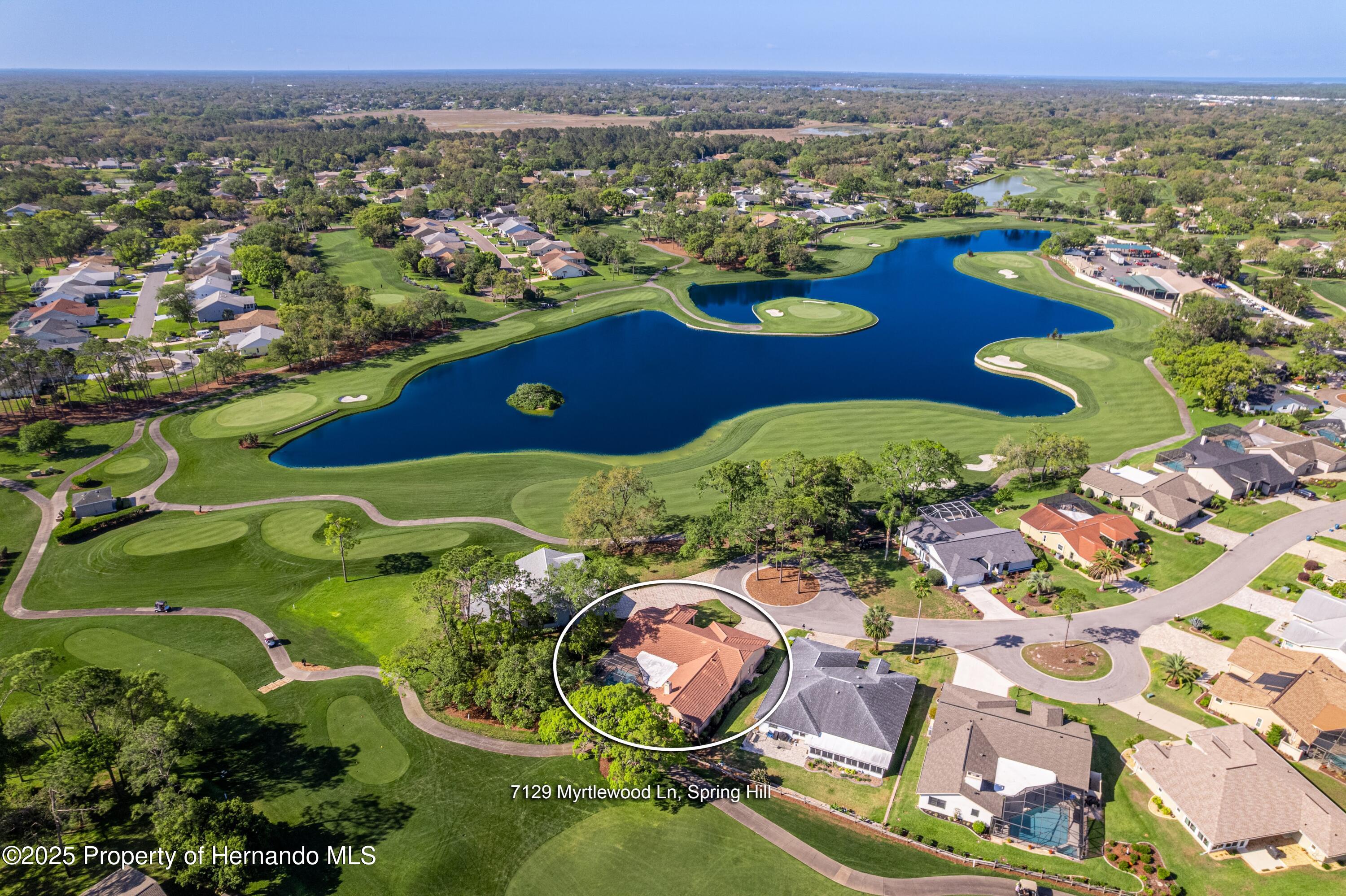 7129 Myrtlewood Lane, Spring Hill, Florida image 2