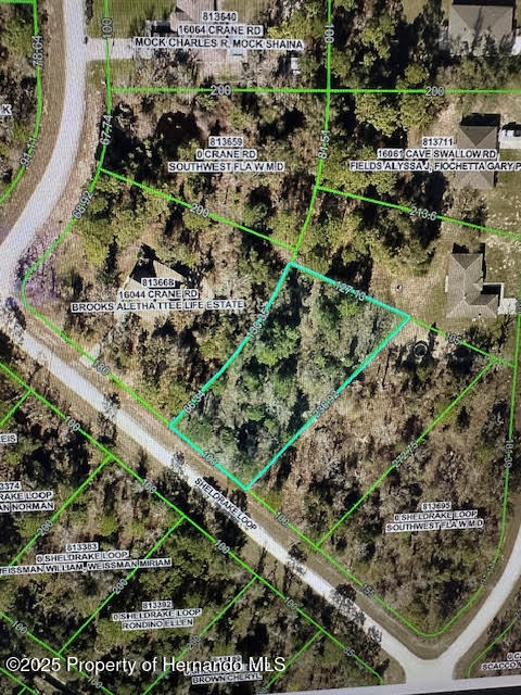 000000000 Sheldrake Loop, Brooksville, Florida image 2