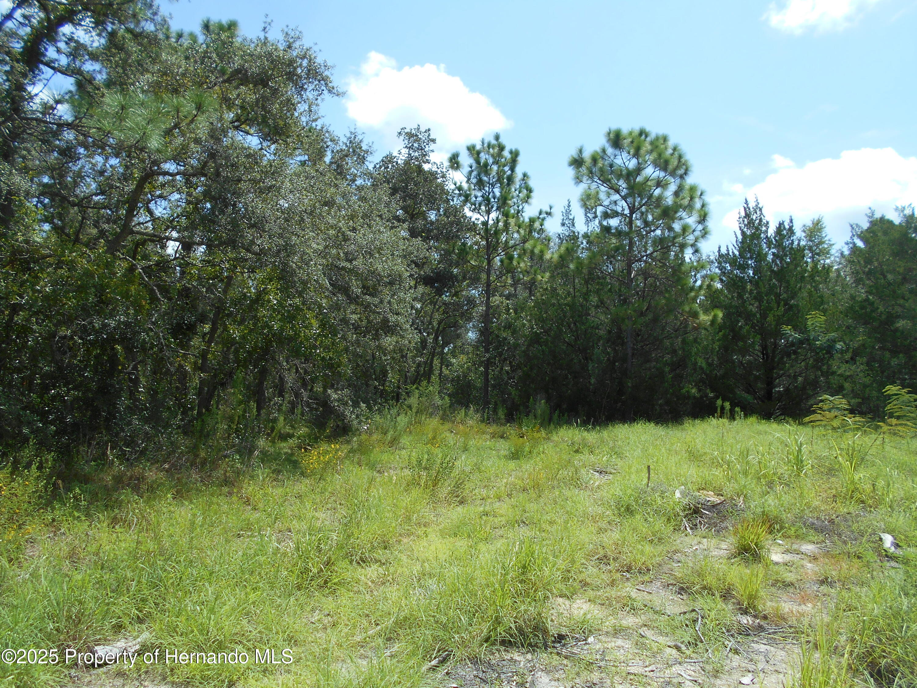 Lot 11 Godec Court, Weeki Wachee, Florida image 1