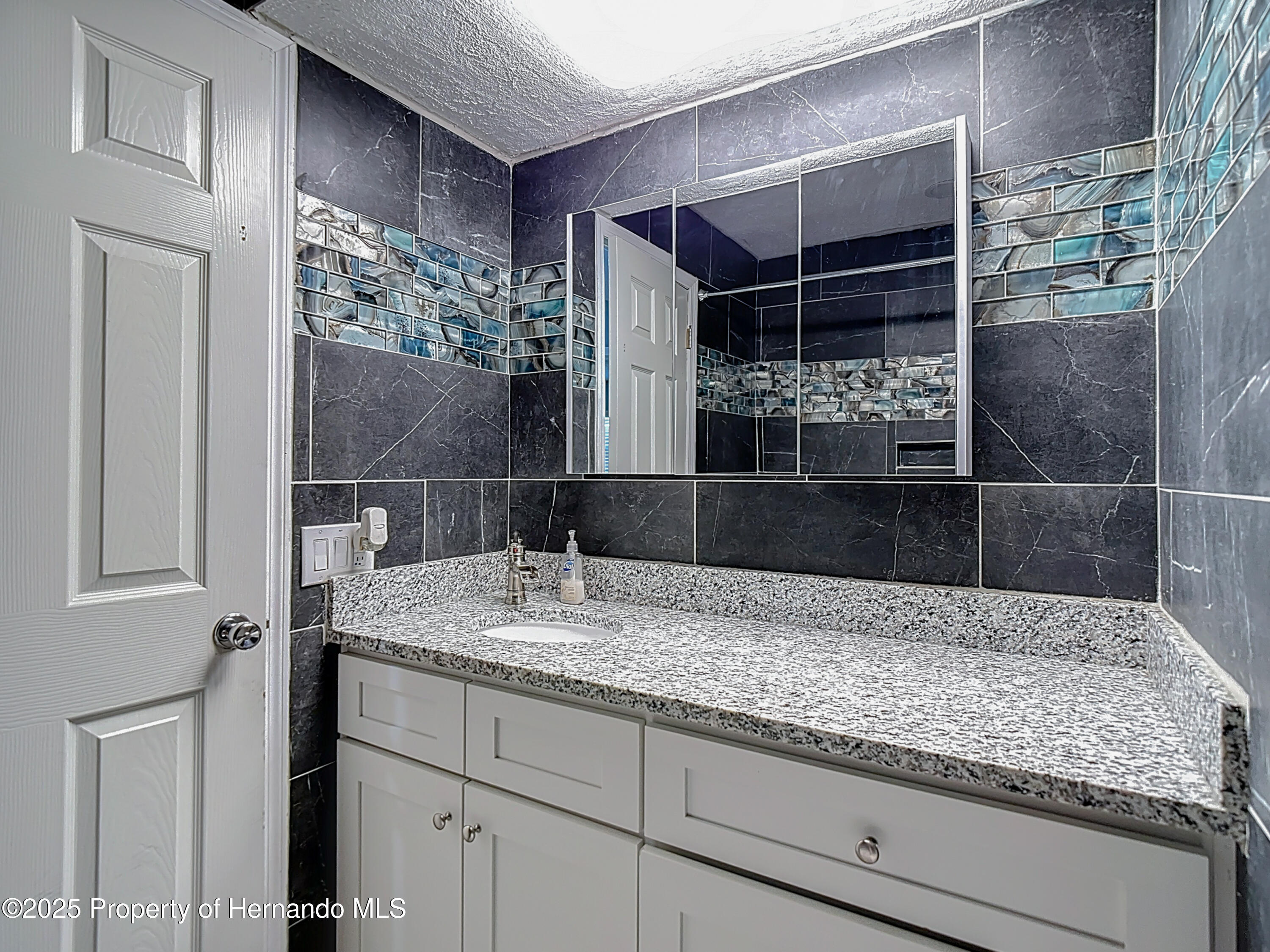 11340 Corinthian Street, Spring Hill, Florida image 40