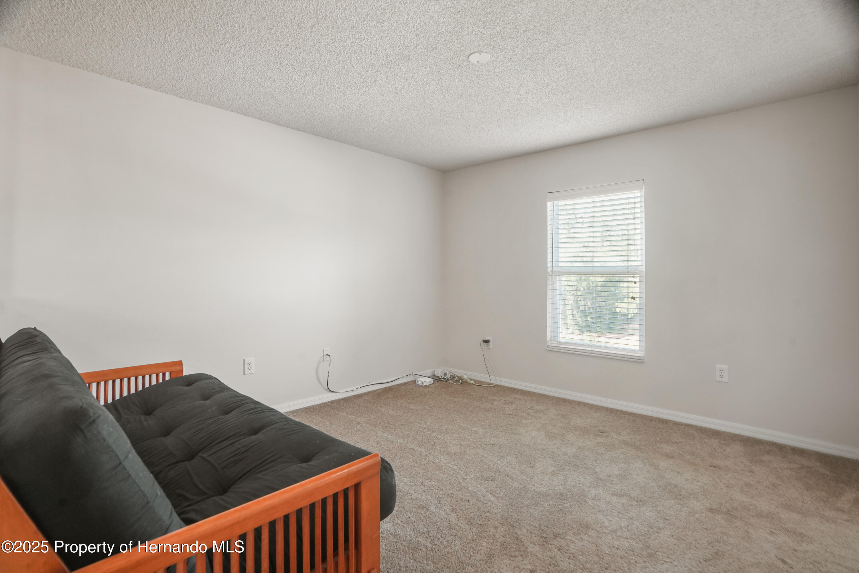 8388 Maltby Road, Spring Hill, Florida image 14