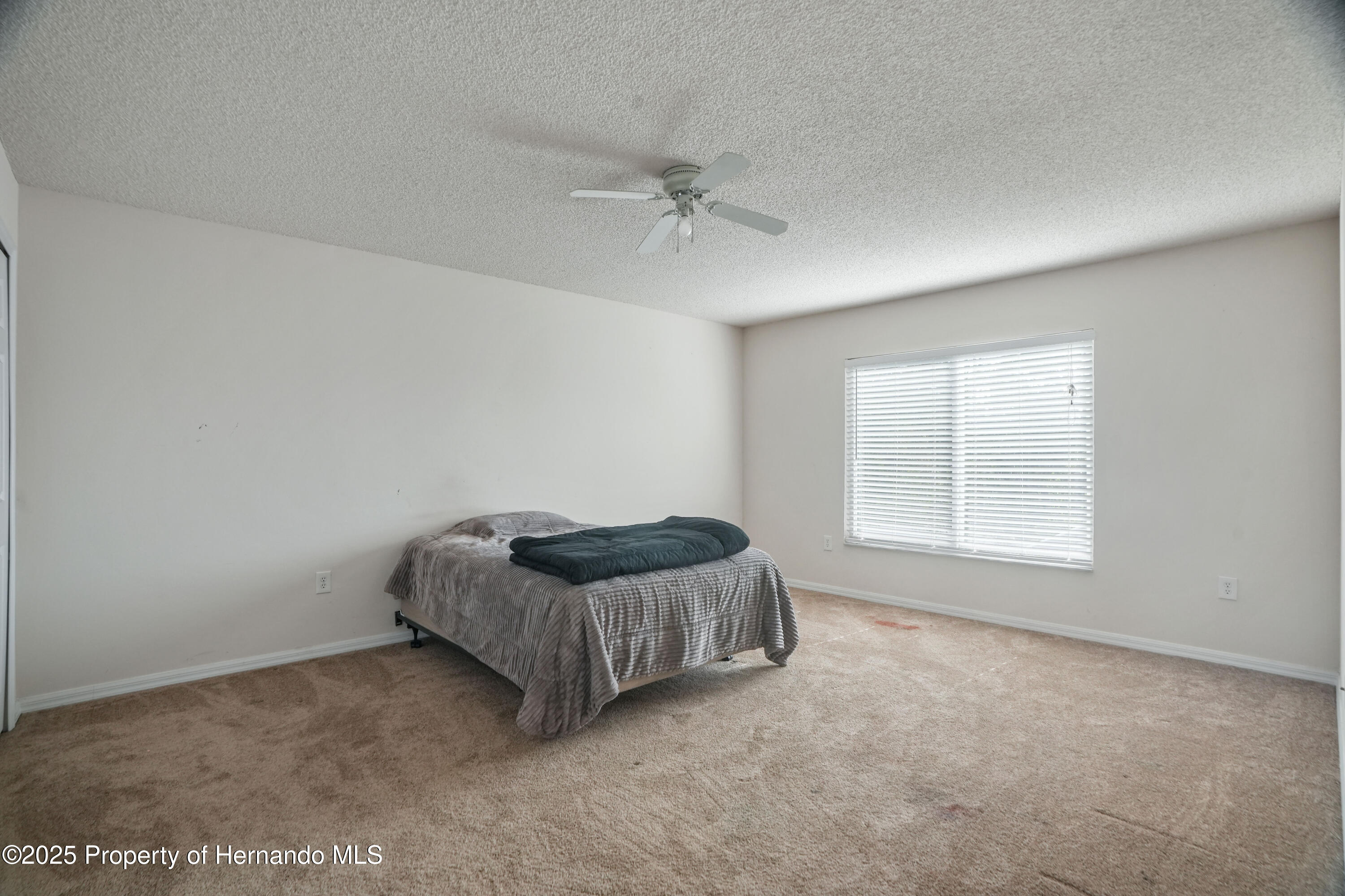8388 Maltby Road, Spring Hill, Florida image 19