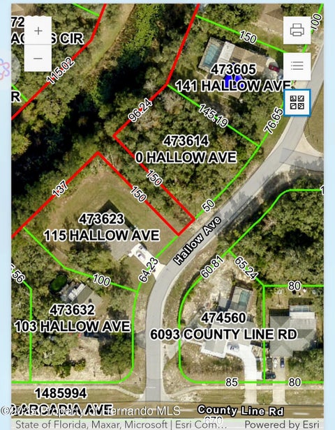 Vacant Land For Sale - Hallow Avenue<br/> Spring Hill, FL 34606
