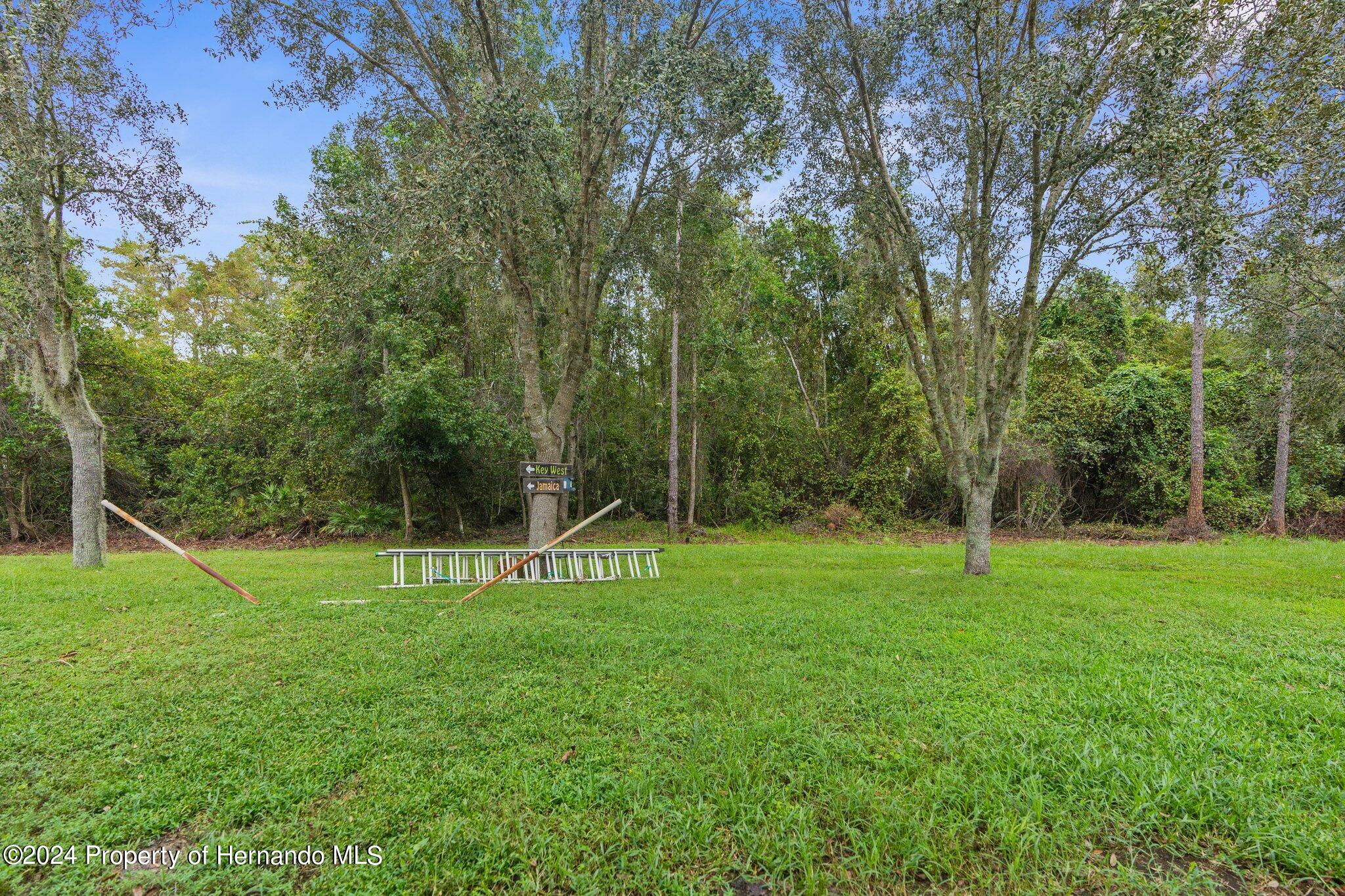 12534 Chenwood Avenue, Hudson, Florida image 39