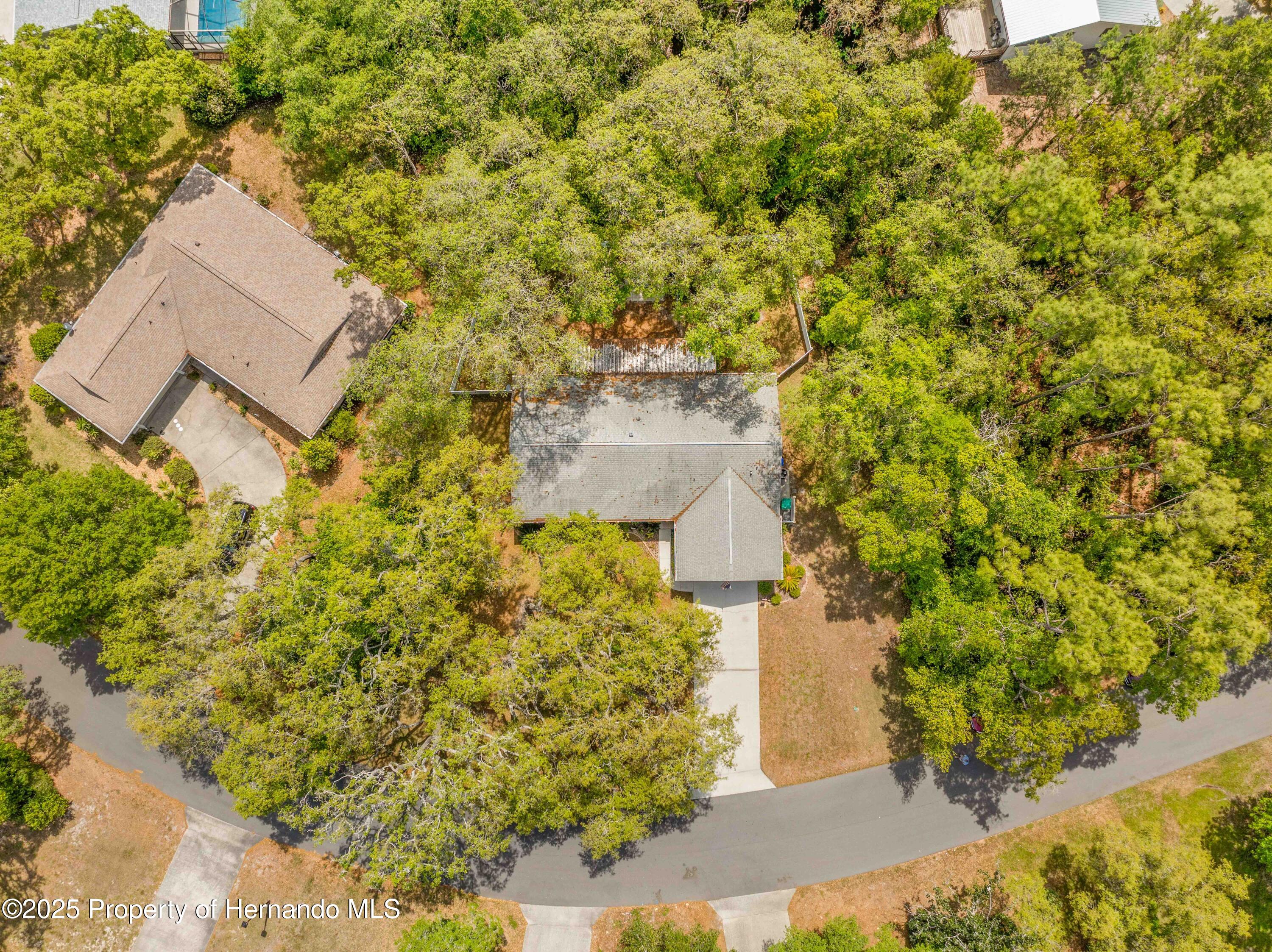 5 Shumard Court, Homosassa, Florida image 4