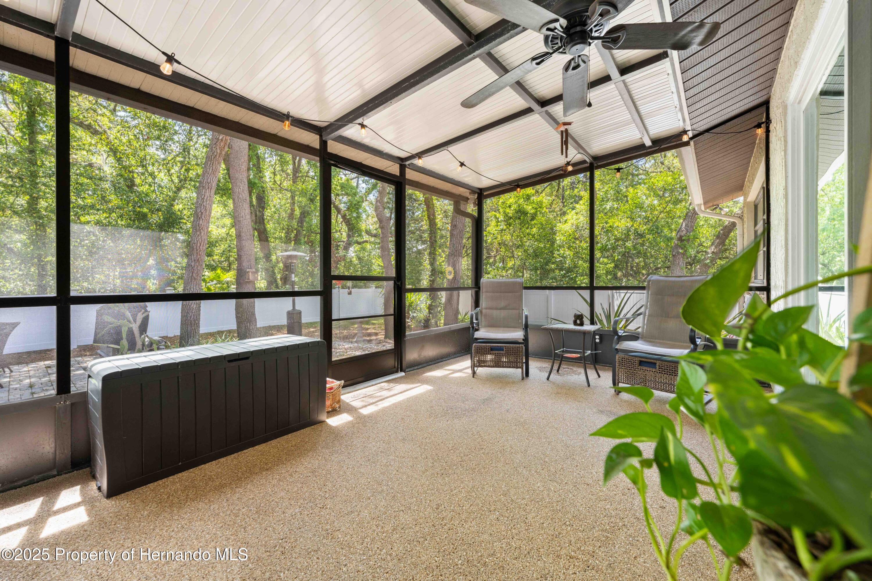 5 Shumard Court, Homosassa, Florida image 13