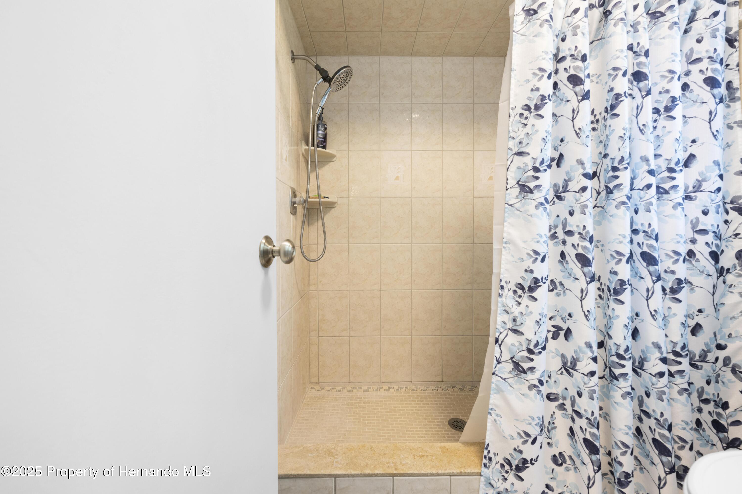 5 Shumard Court, Homosassa, Florida image 29