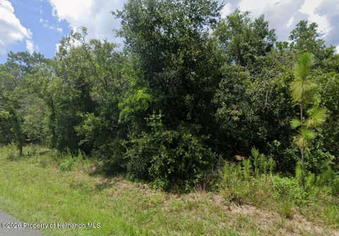 Vacant Land For Sale - Convent Garden Road<br/> Brooksville, FL 34613