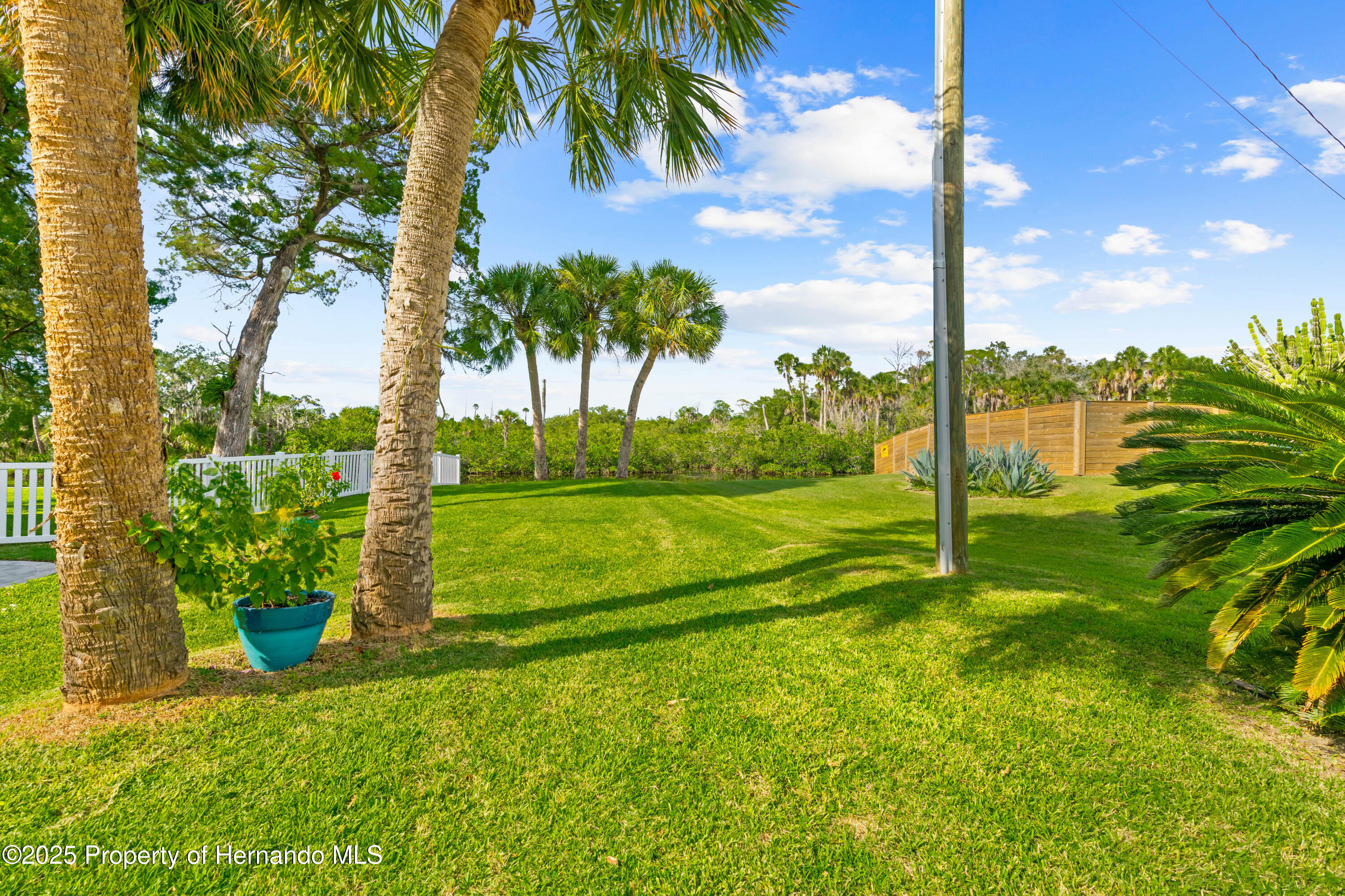8717 Betty Street, Port Richey, Florida image 42