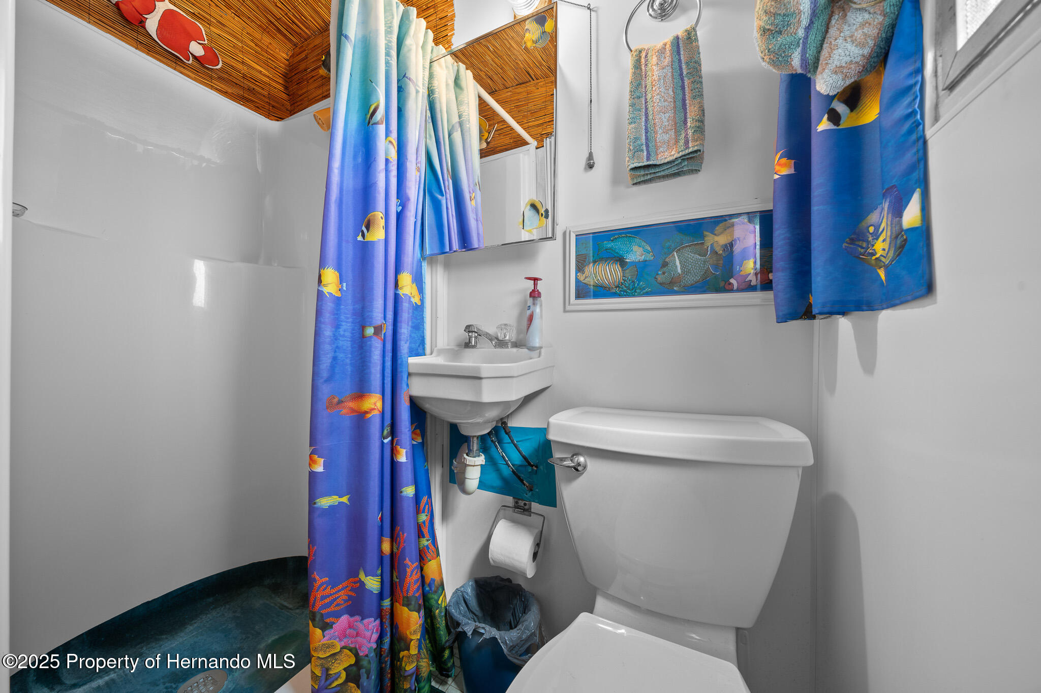 6448 W Richard Drive, Weeki Wachee, Florida image 39